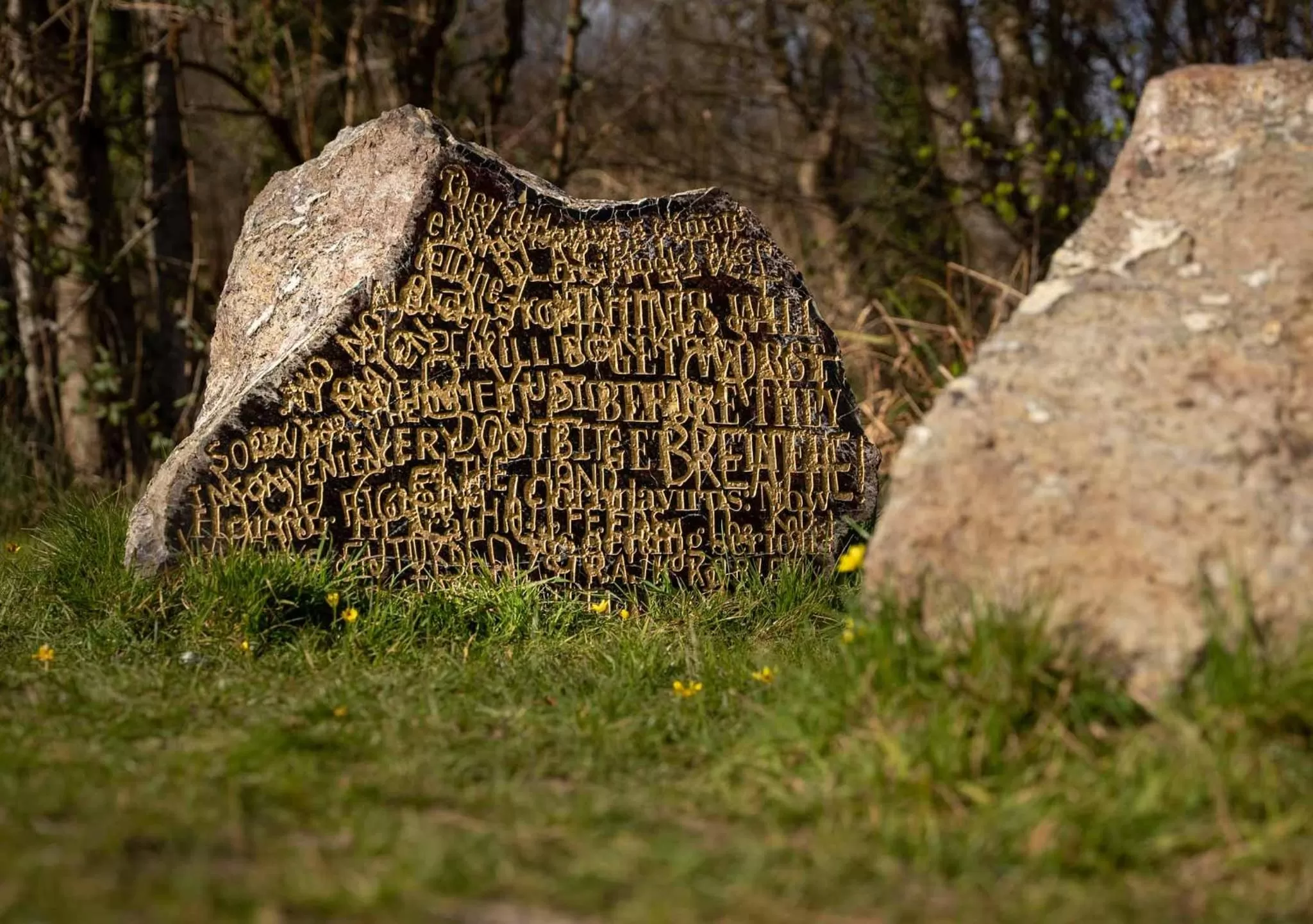 Broomhill Estate Boutique Art Hotel