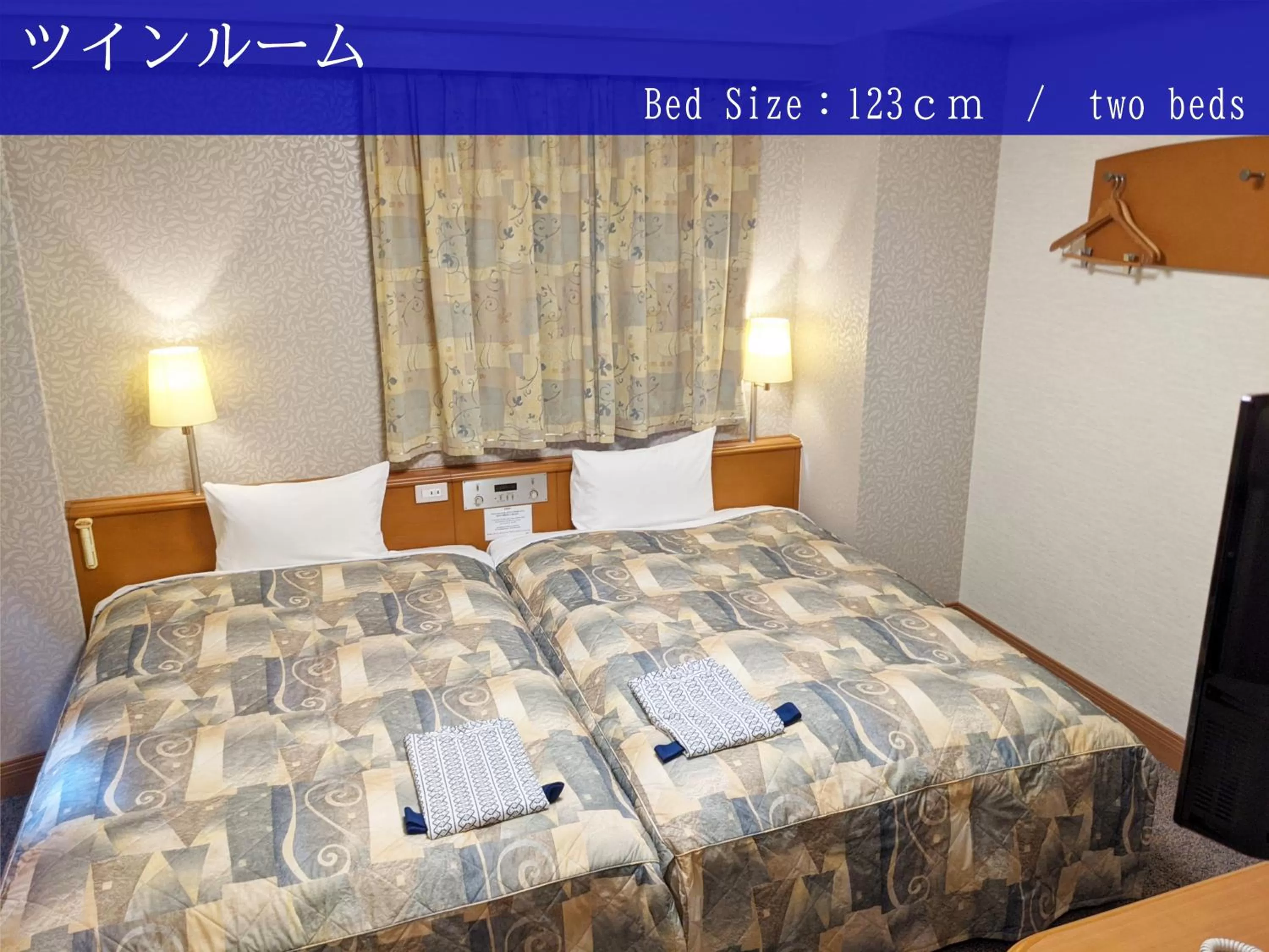 Standard Twin Room - single occupancy in Ave Tennoji Hotel