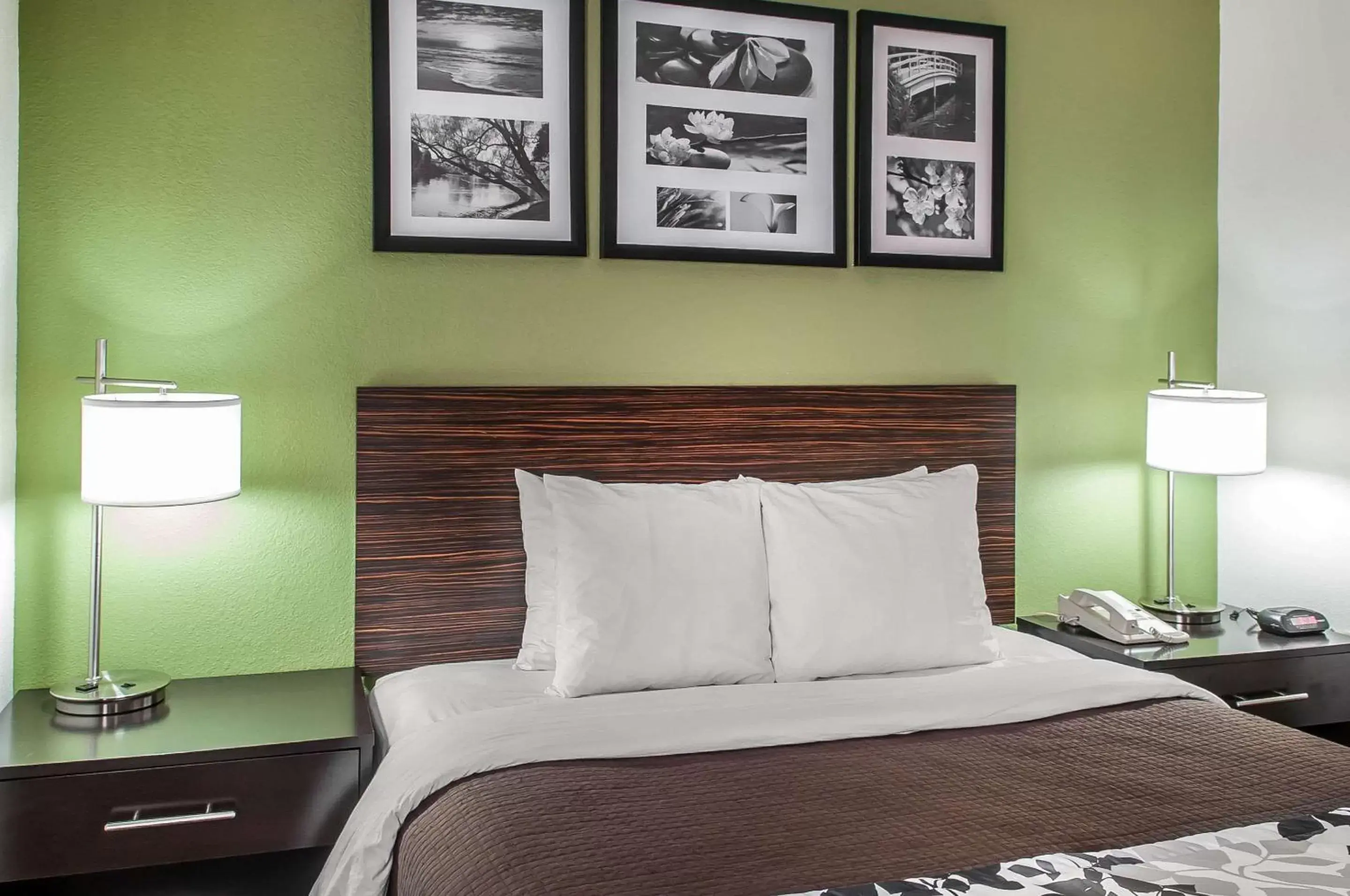 Queen Room - Disability Access - Non-Smoking in Rodeway Inn Airport Queen Room - Disability Access - Non-Smoking in Rodeway Inn Airport