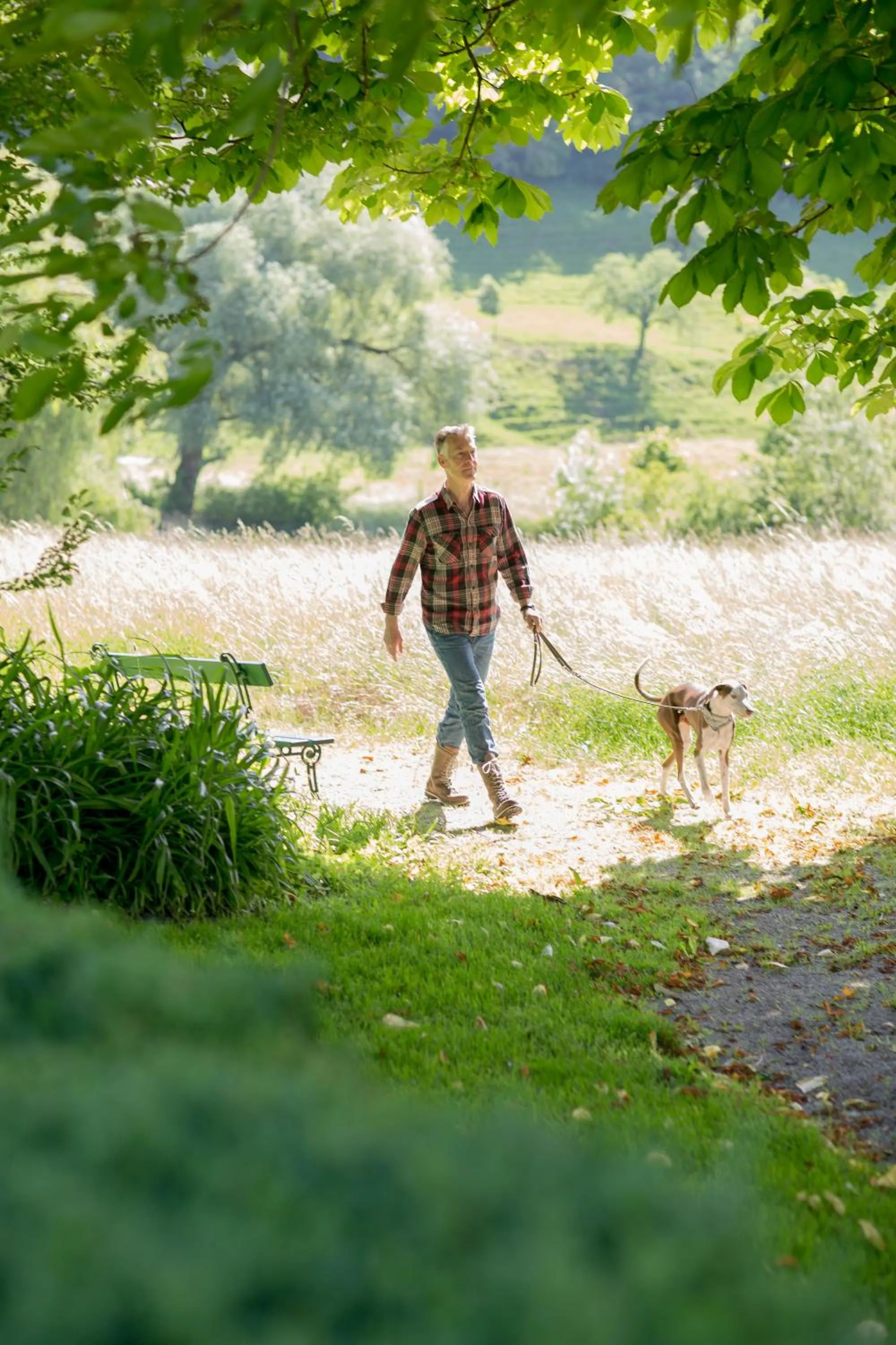 Natural landscape in Bad Schauenburg