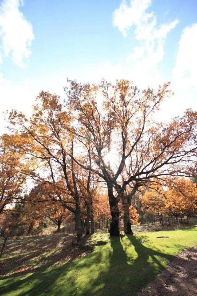 Day in Hotel Rural Las Rozuelas