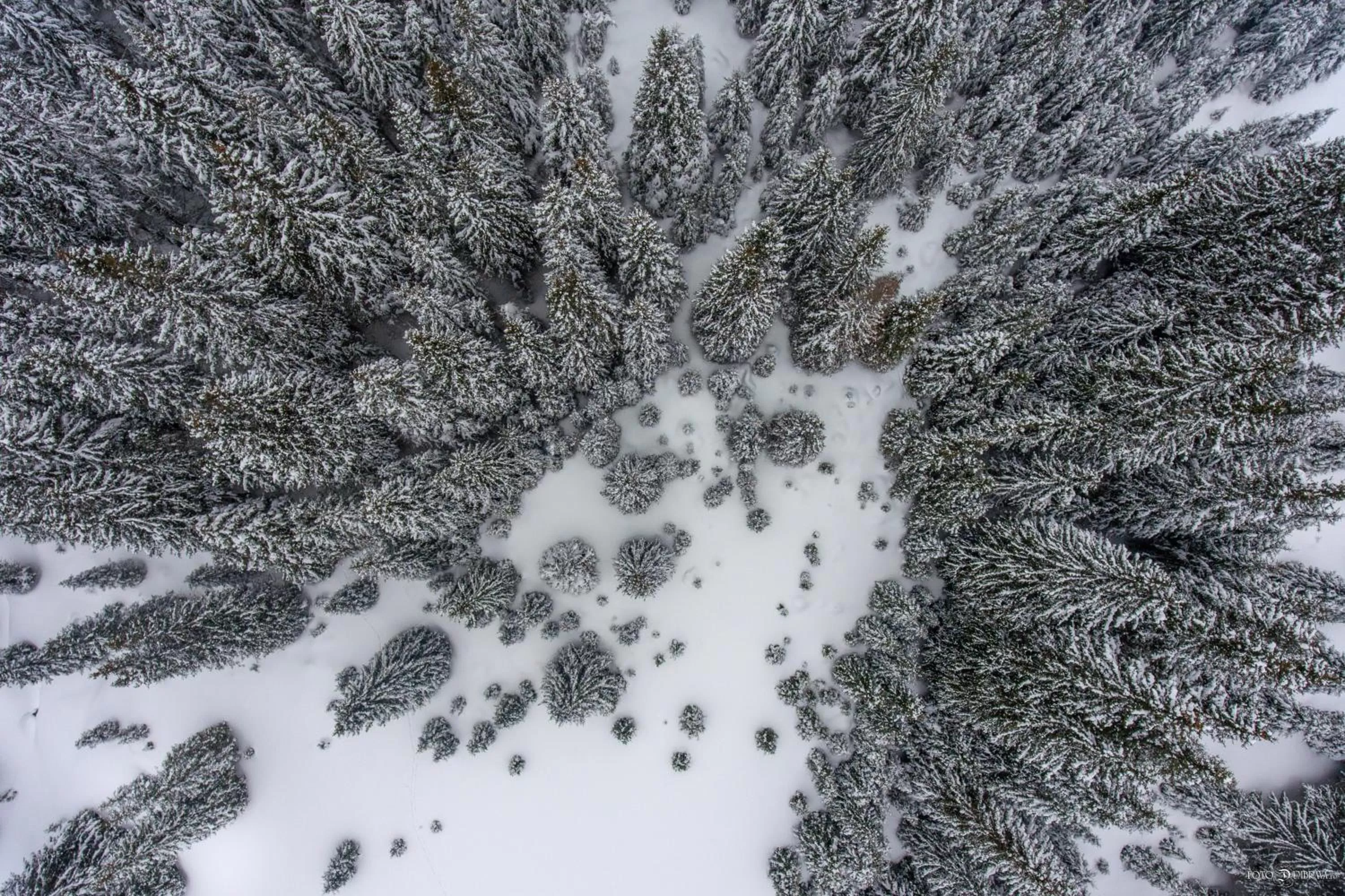 Property building, Winter in Hotel Belmont