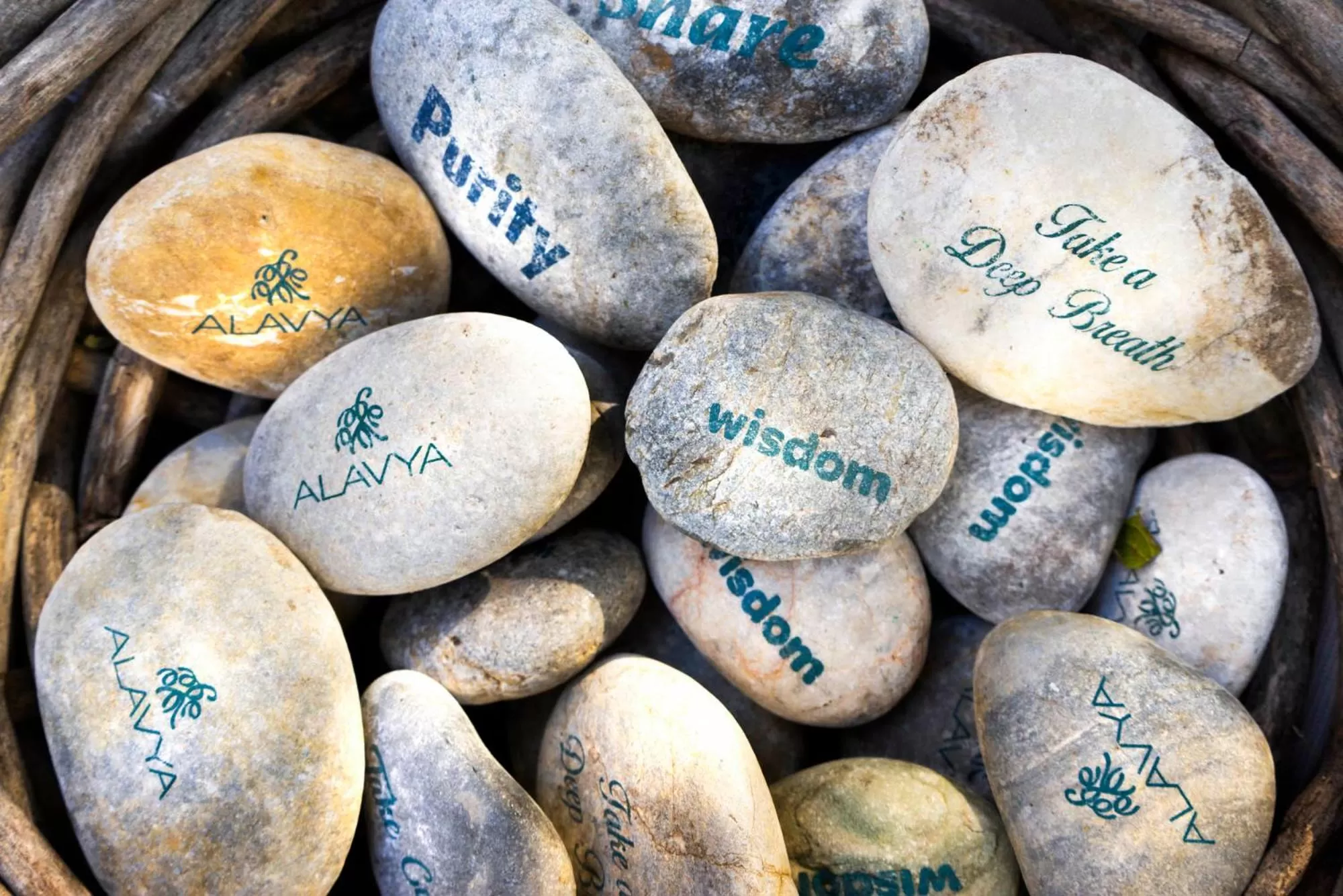 Decorative detail in Alavya