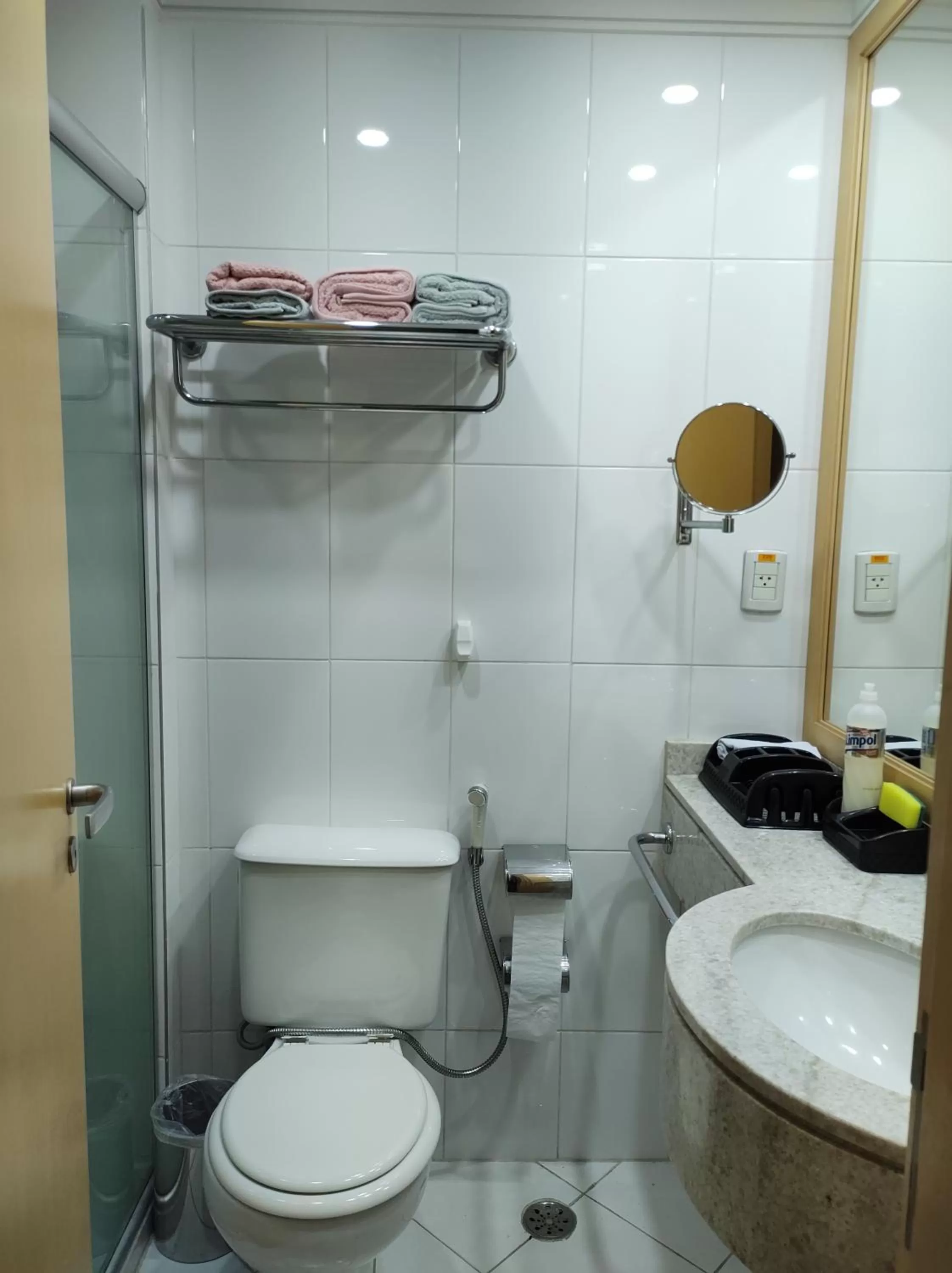 Bathroom in Flat Guarulhos