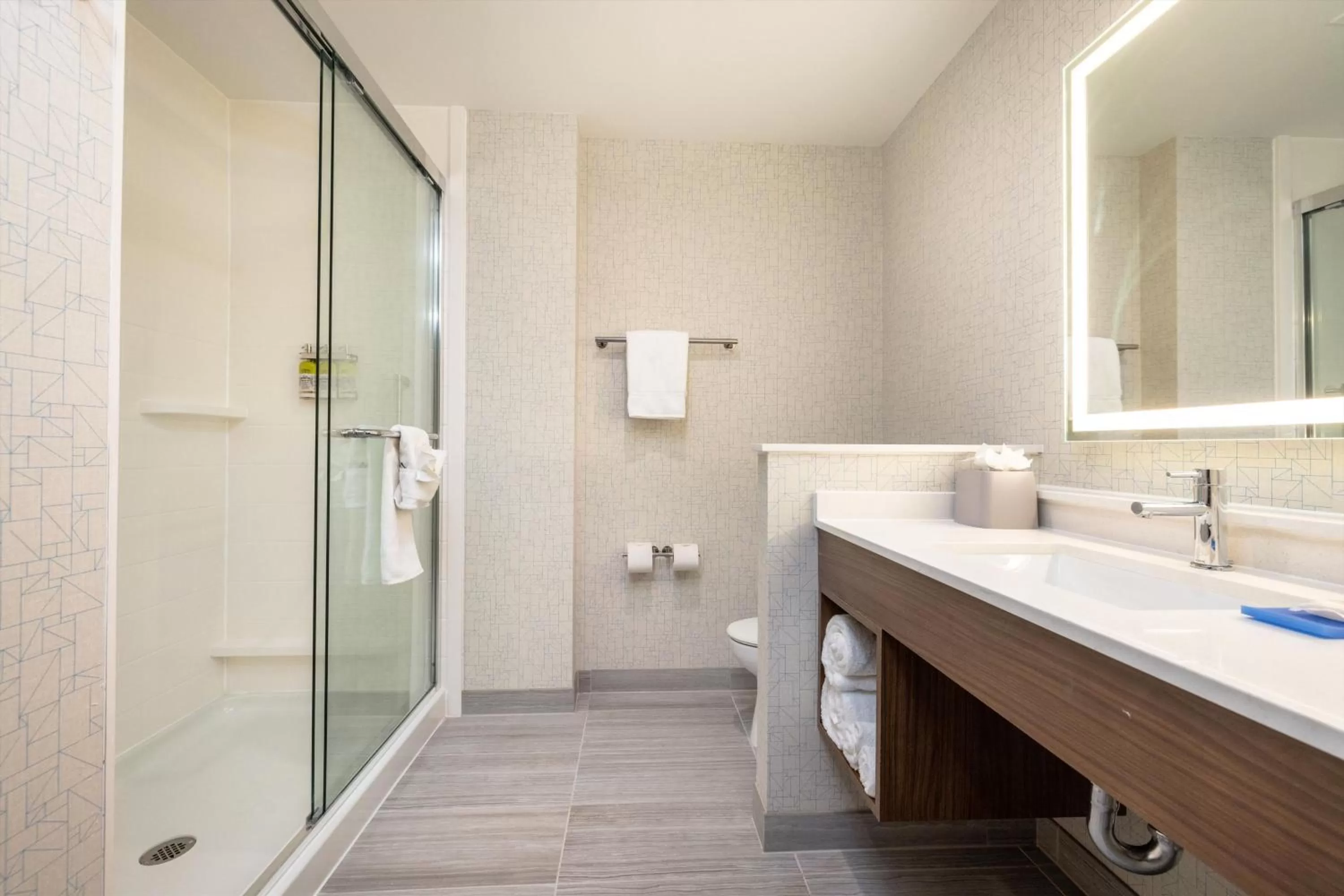 Bathroom in Holiday Inn Express & Suites - San Jose Silicon Valley by IHG