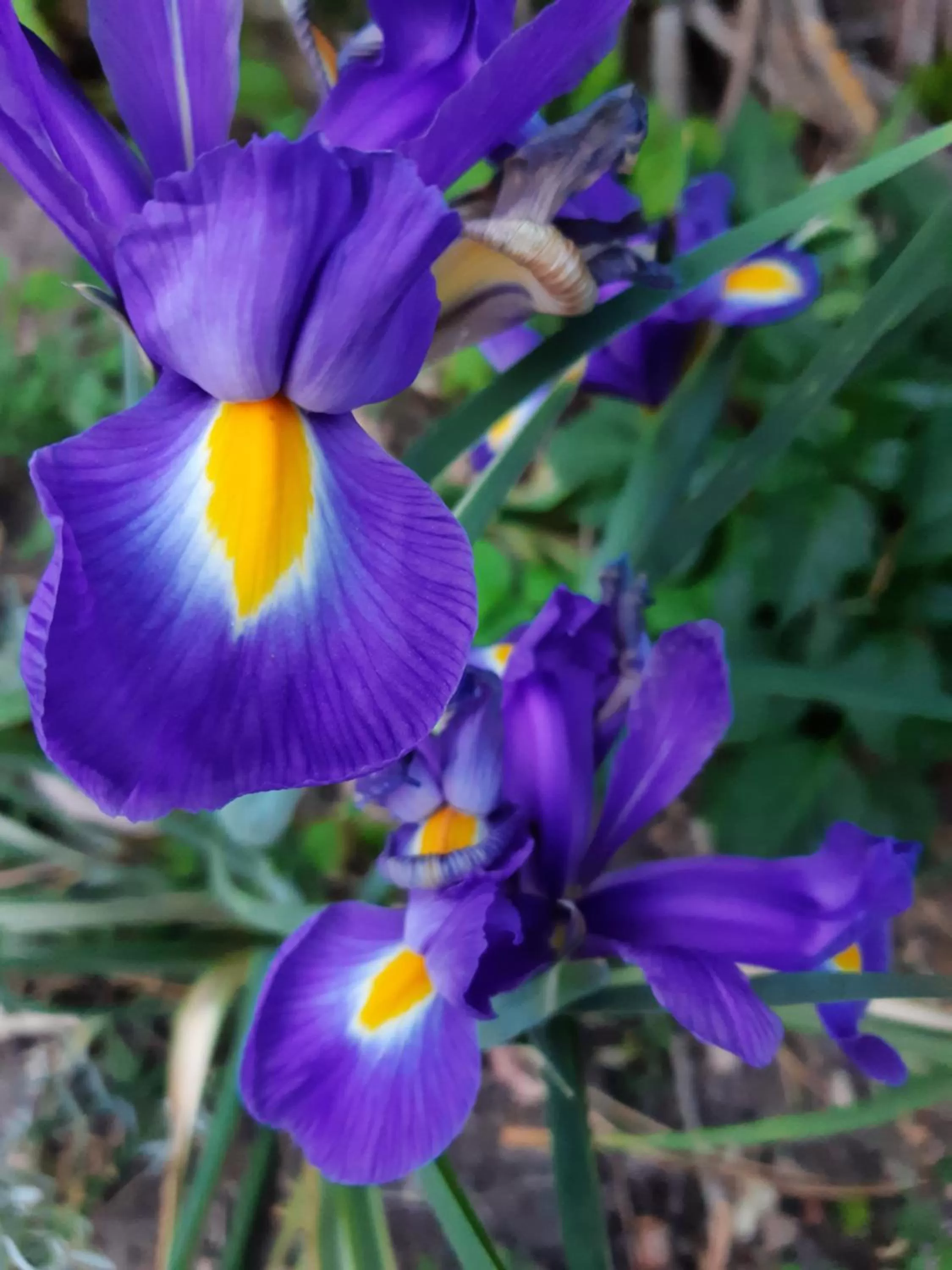 Garden in Au Charme de l'Eure