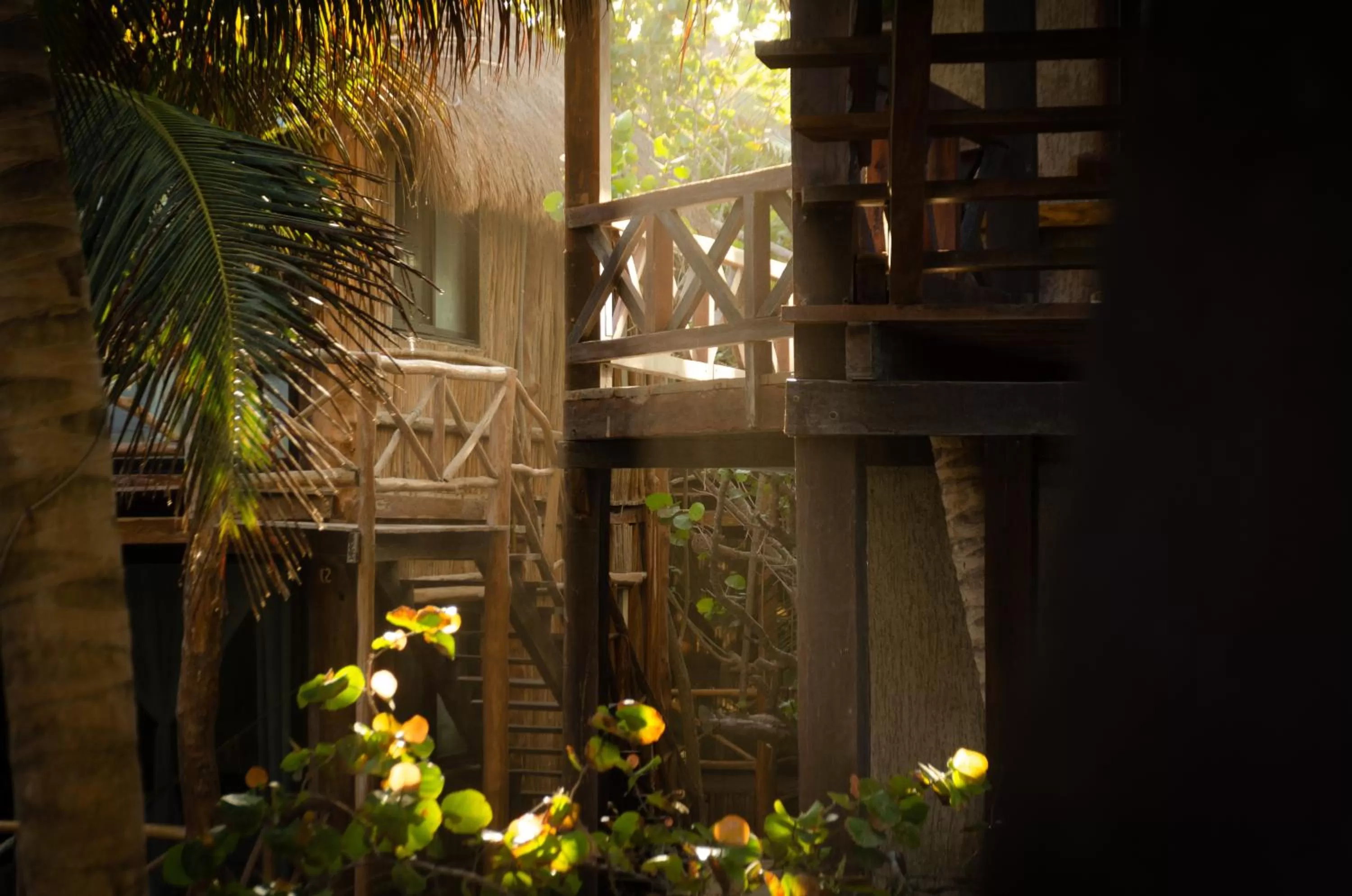 Garden, Property Building in Hotelito Azul