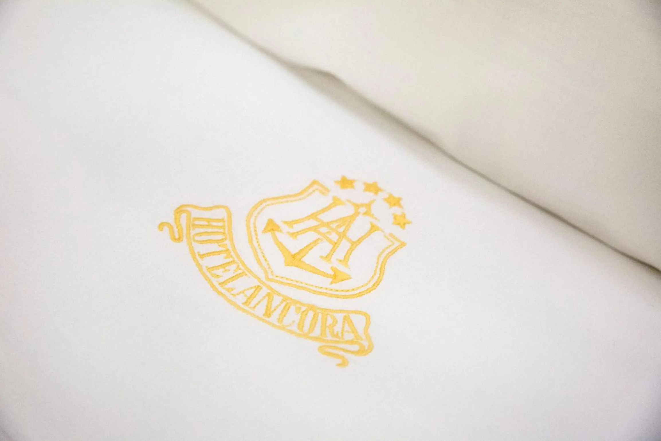 Property logo or sign in Hotel Ancora