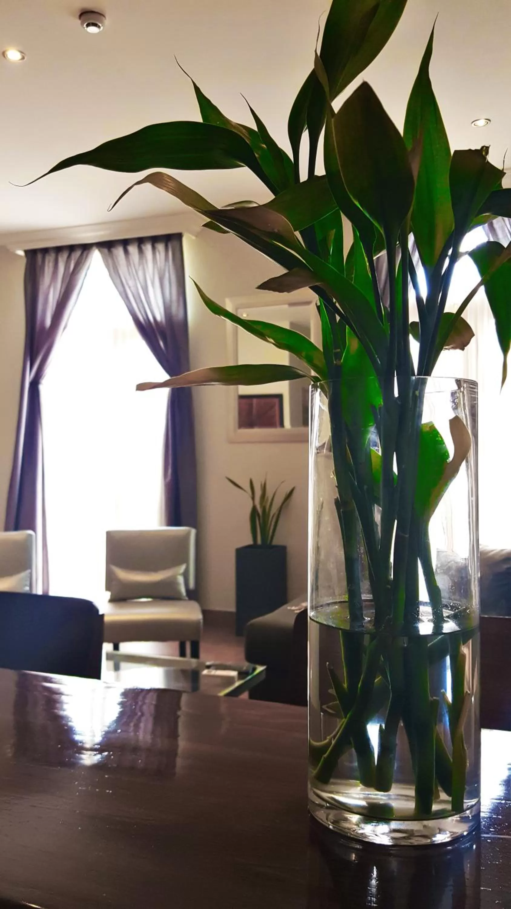 Day in La Isabela Suites