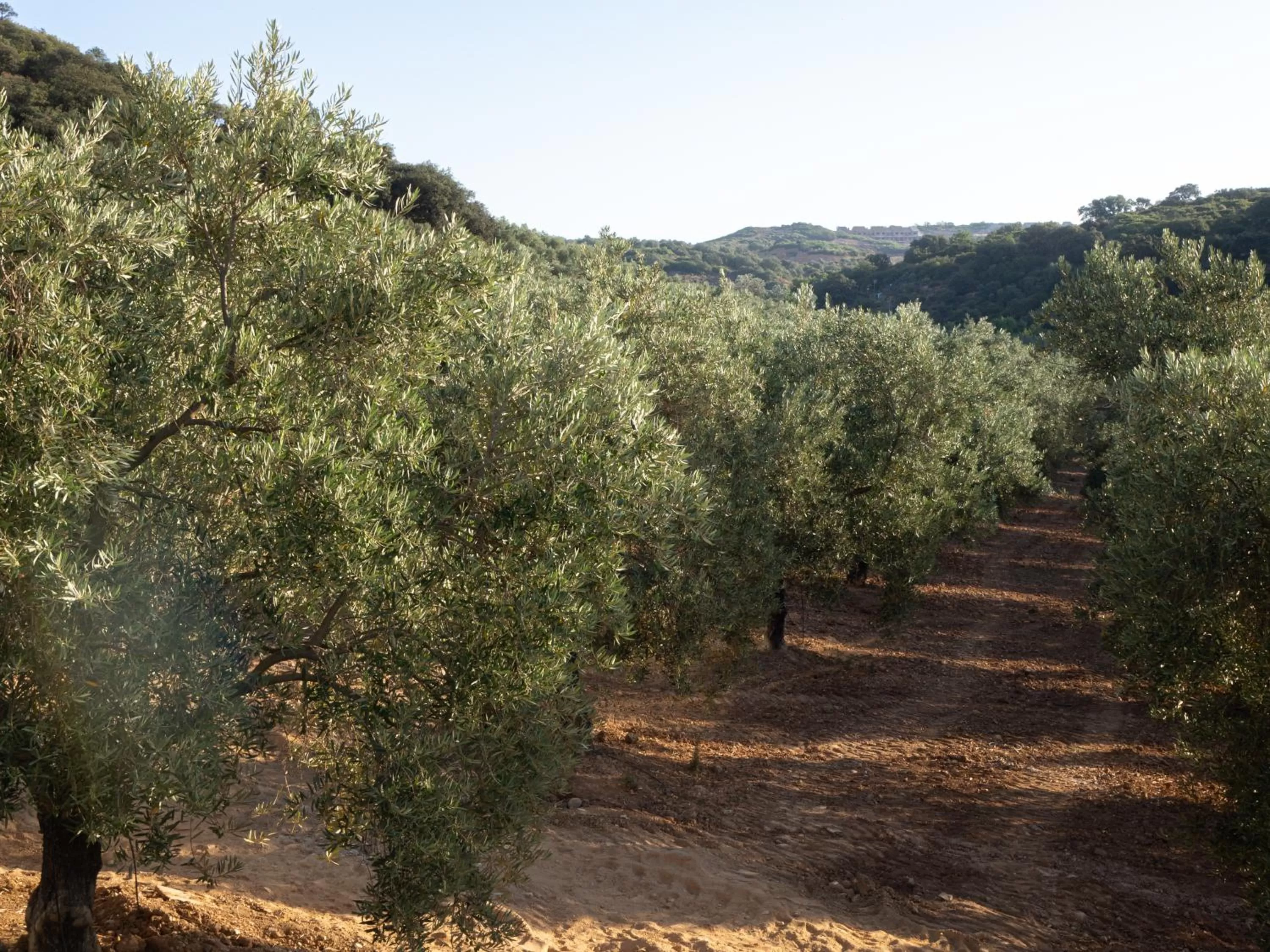 Off site in Hacienda Fresneda María by Real Spain Hotels Adults Recommended