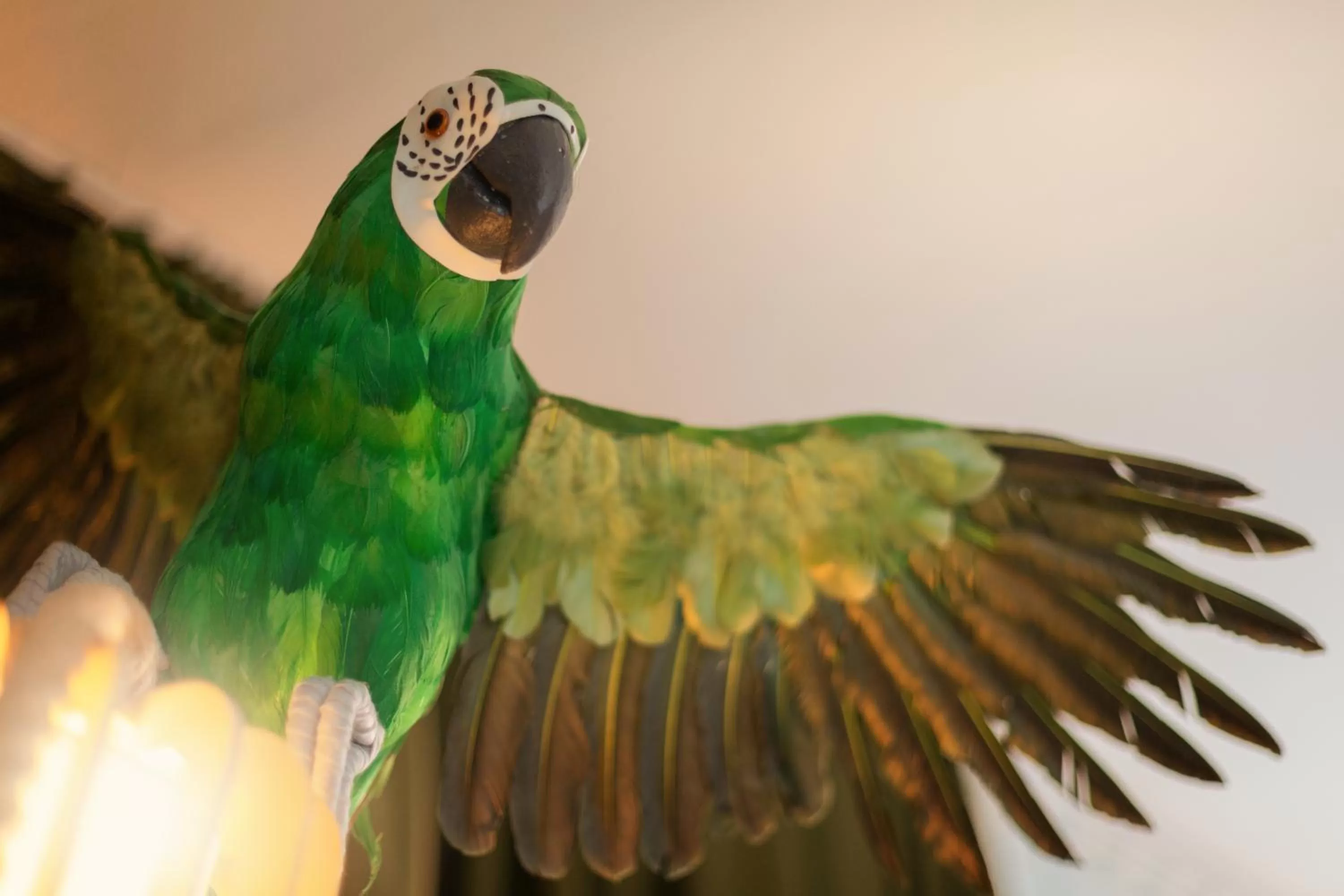 Decorative detail in Holiday Inn - the niu, Crusoe Bremen Airport by IHG