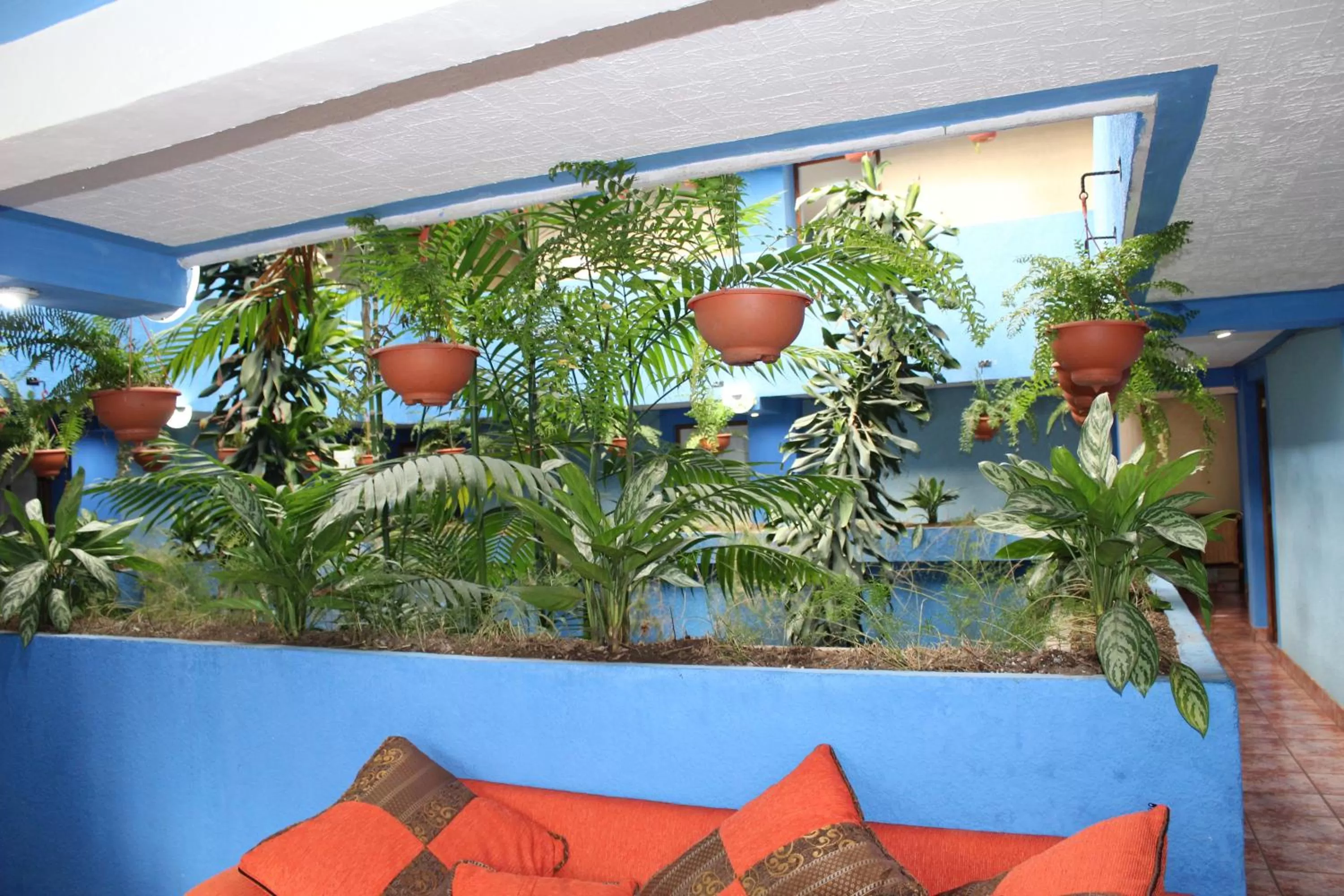 Lobby or reception in hotel kasa kamelot 2