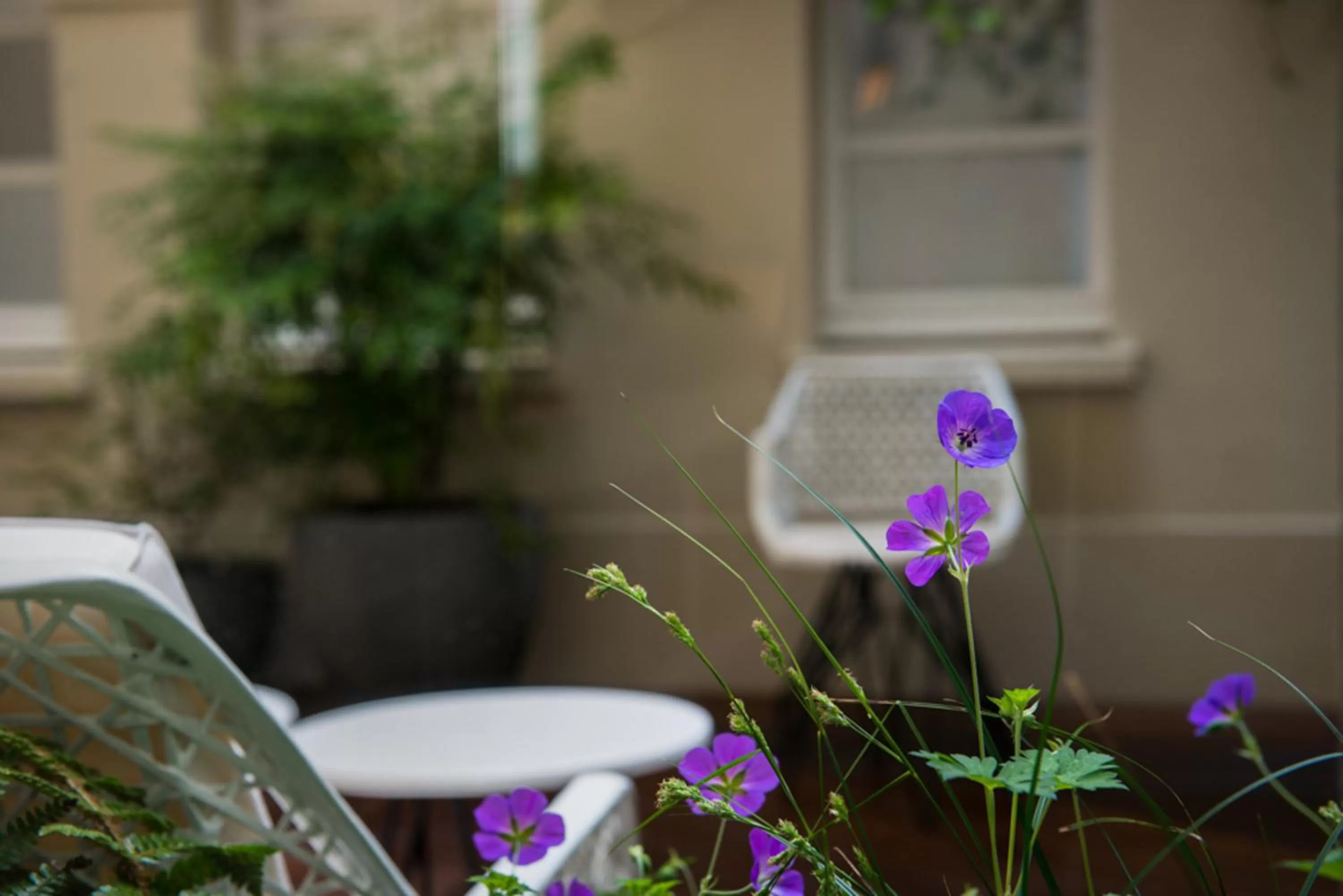 Patio in Millésime Hôtel