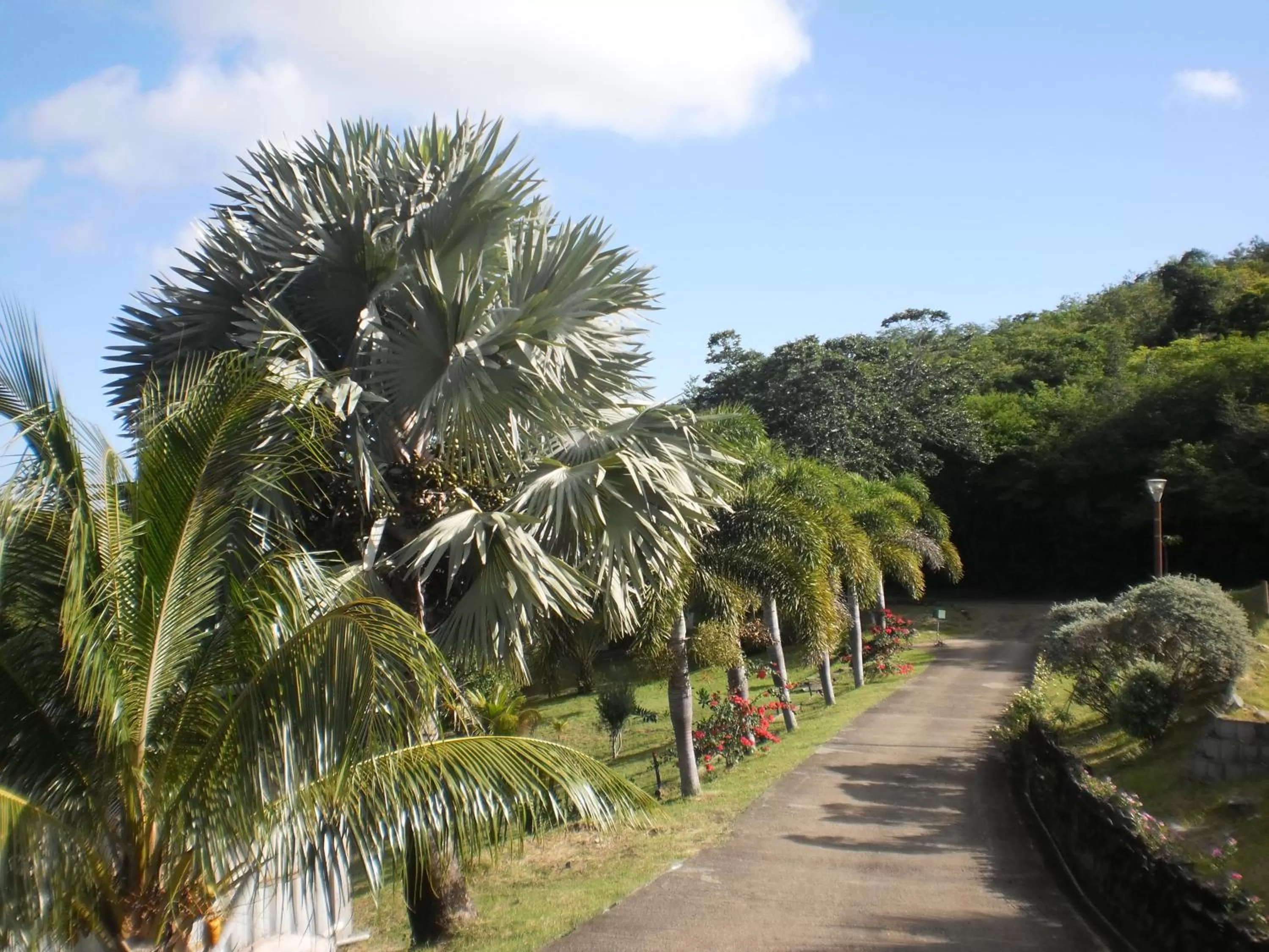 Day in Bed and breakfast Riviere