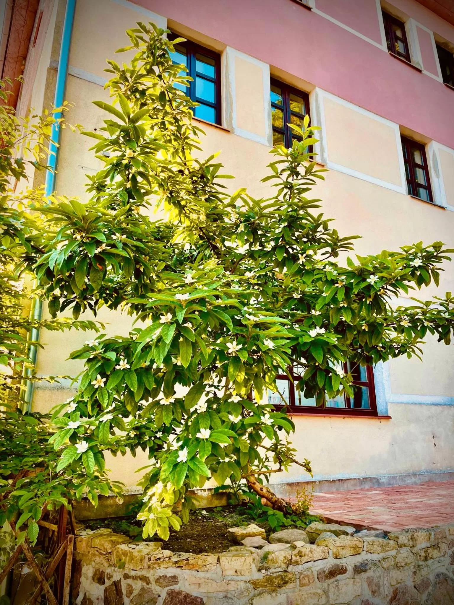 HARABURDI® Recyclart Hotel