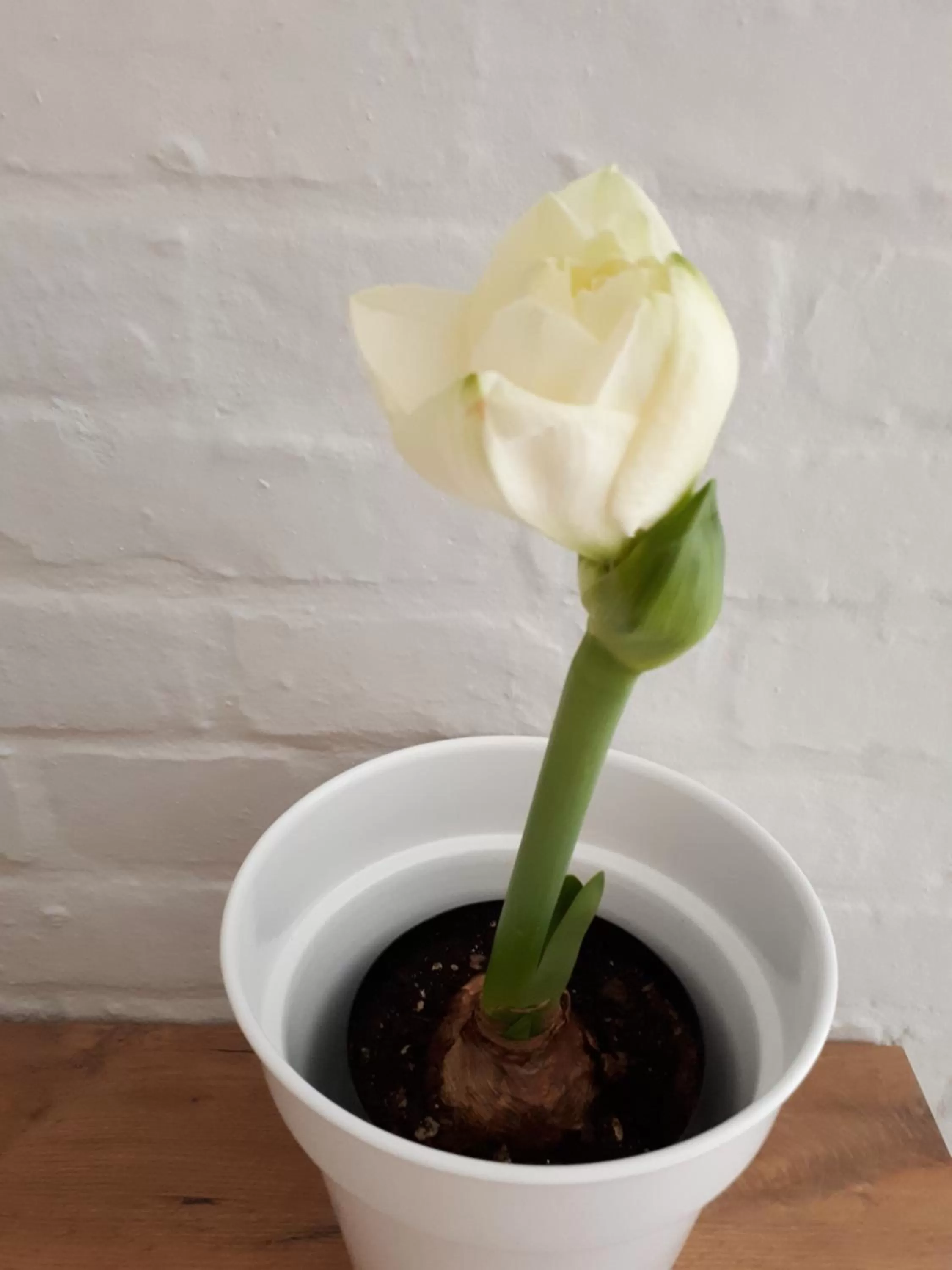 Decorative detail, Food in Raw Karoo Guest House