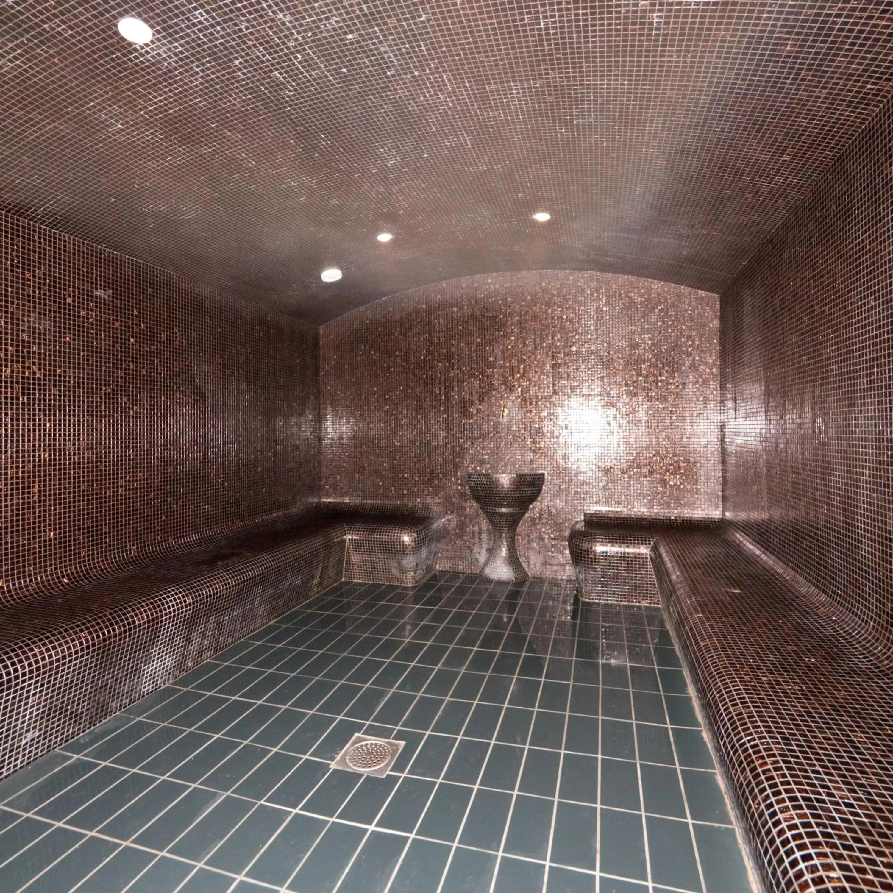 Spa and wellness centre/facilities, Spa/Wellness in Villa Thermae Thonon-Les-Bains