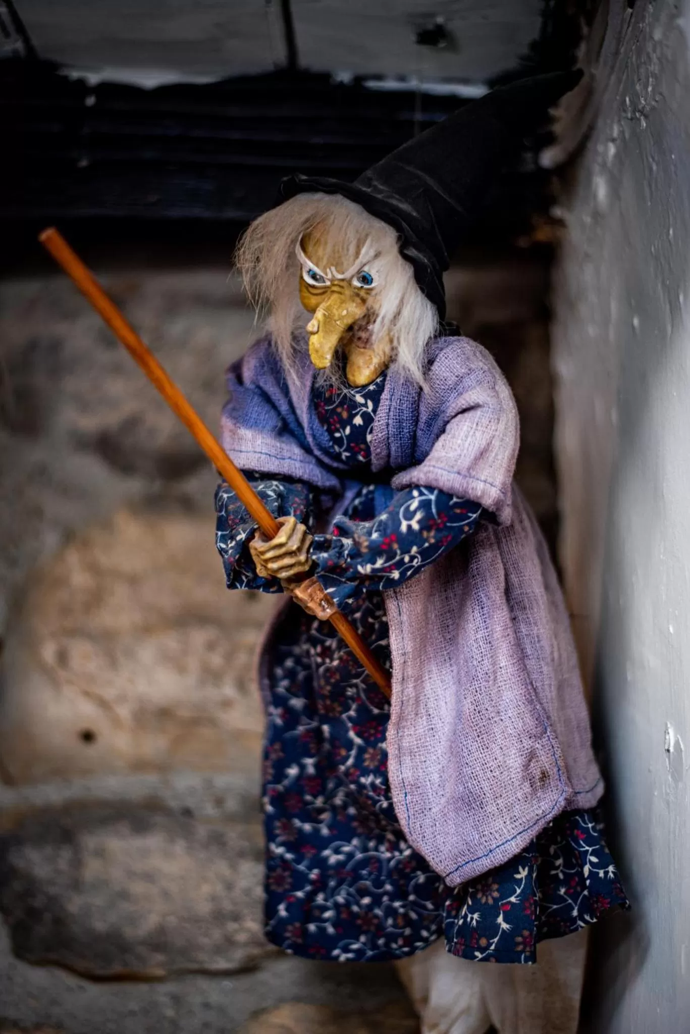 People, Other Animals in The Witching Post Inn