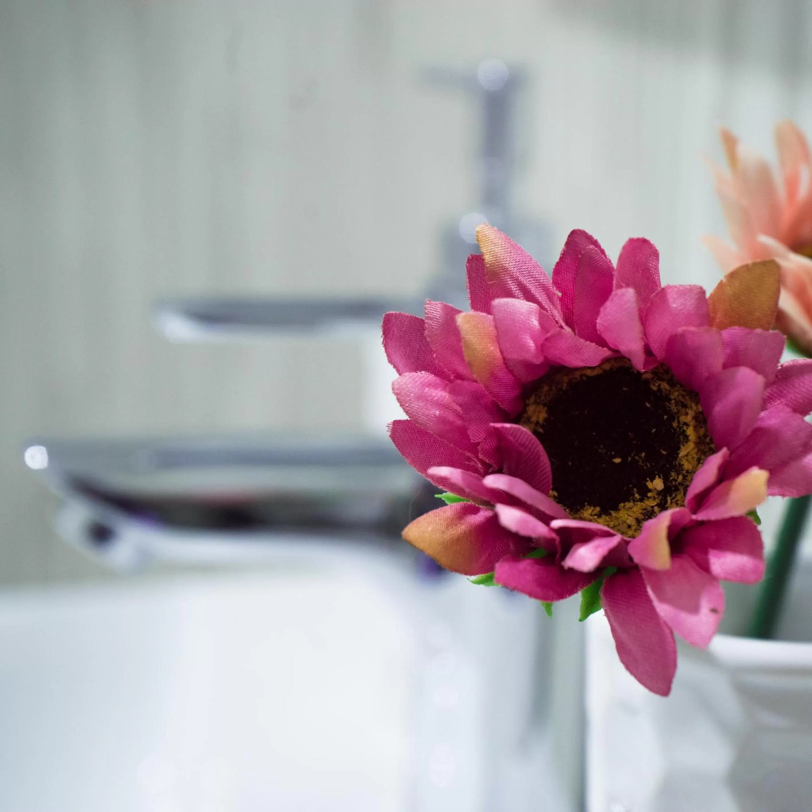 Communal kitchen in Cabezo Buñuel Hostal