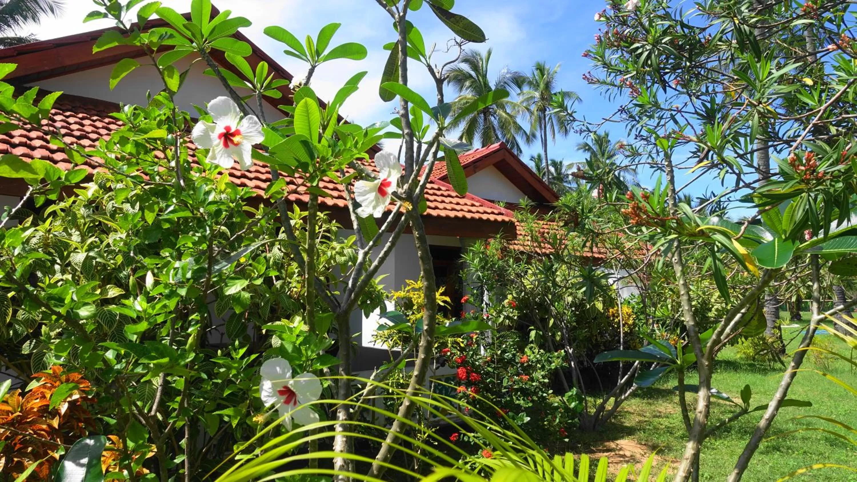 Garden, Property Building in Regina Beach Bungalow
