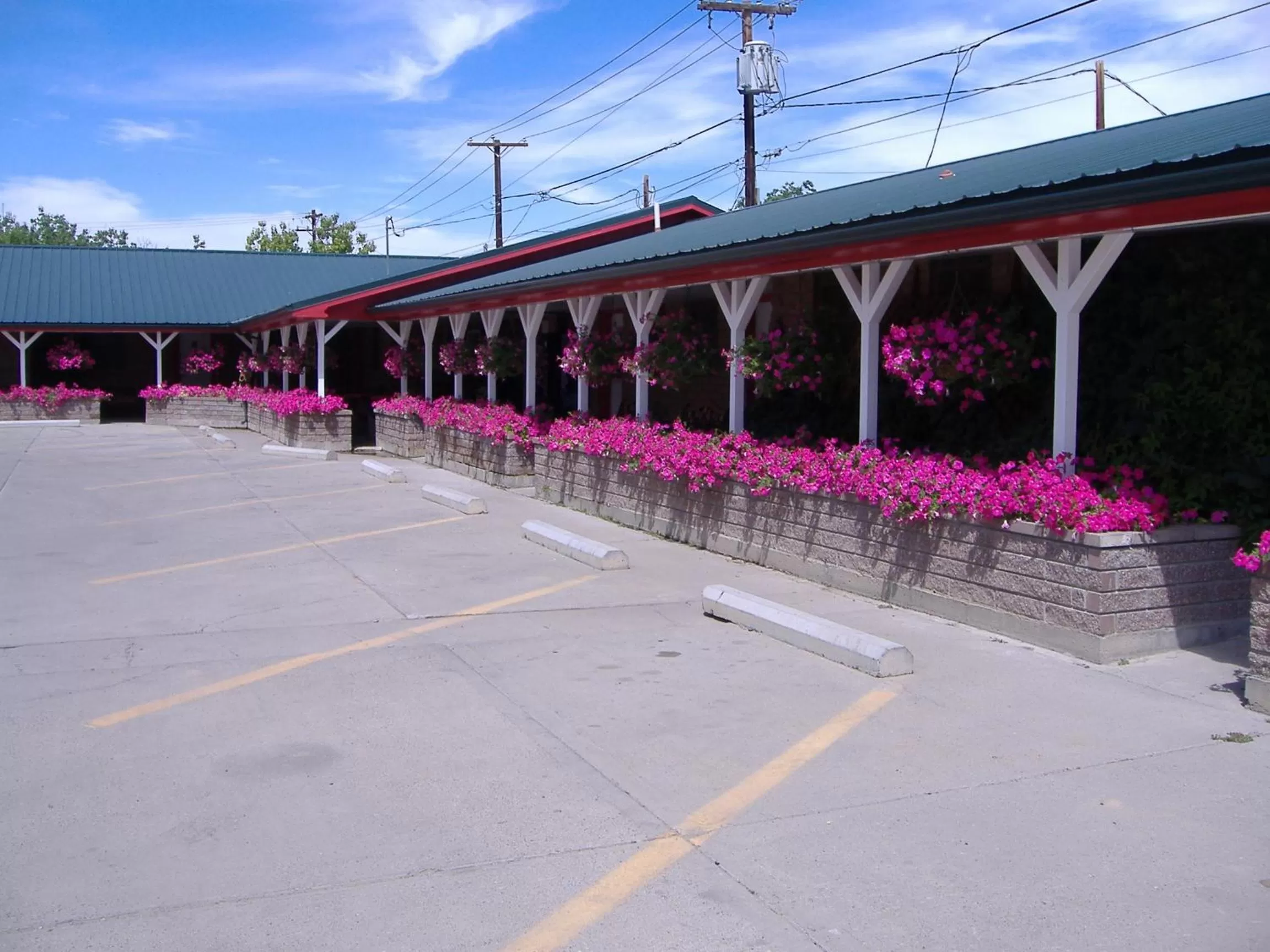 Spring in Greybull Motel
