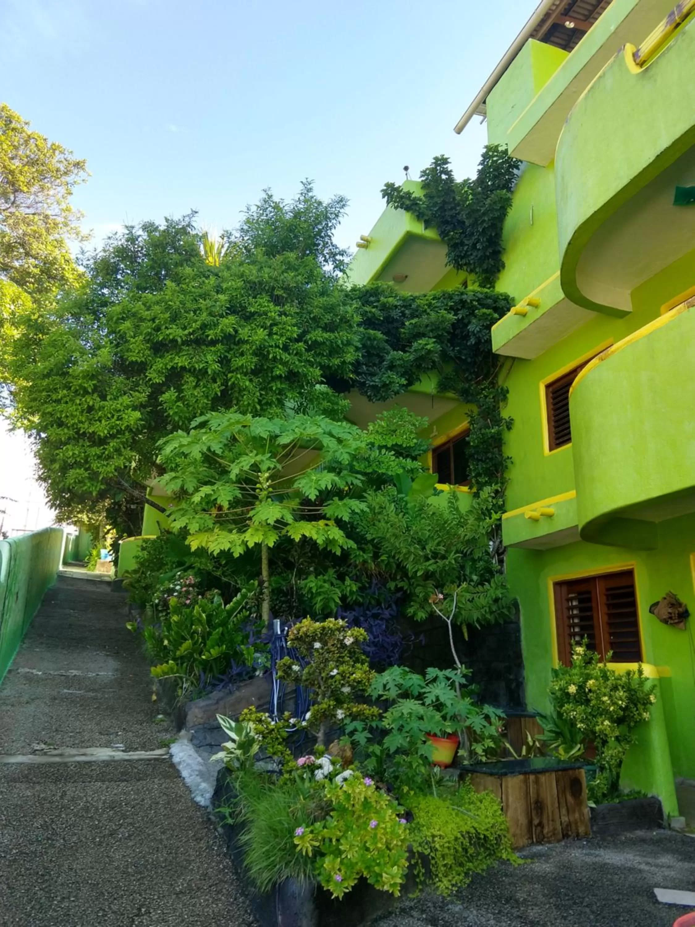Facade/entrance, Property Building in Bamboo Flat