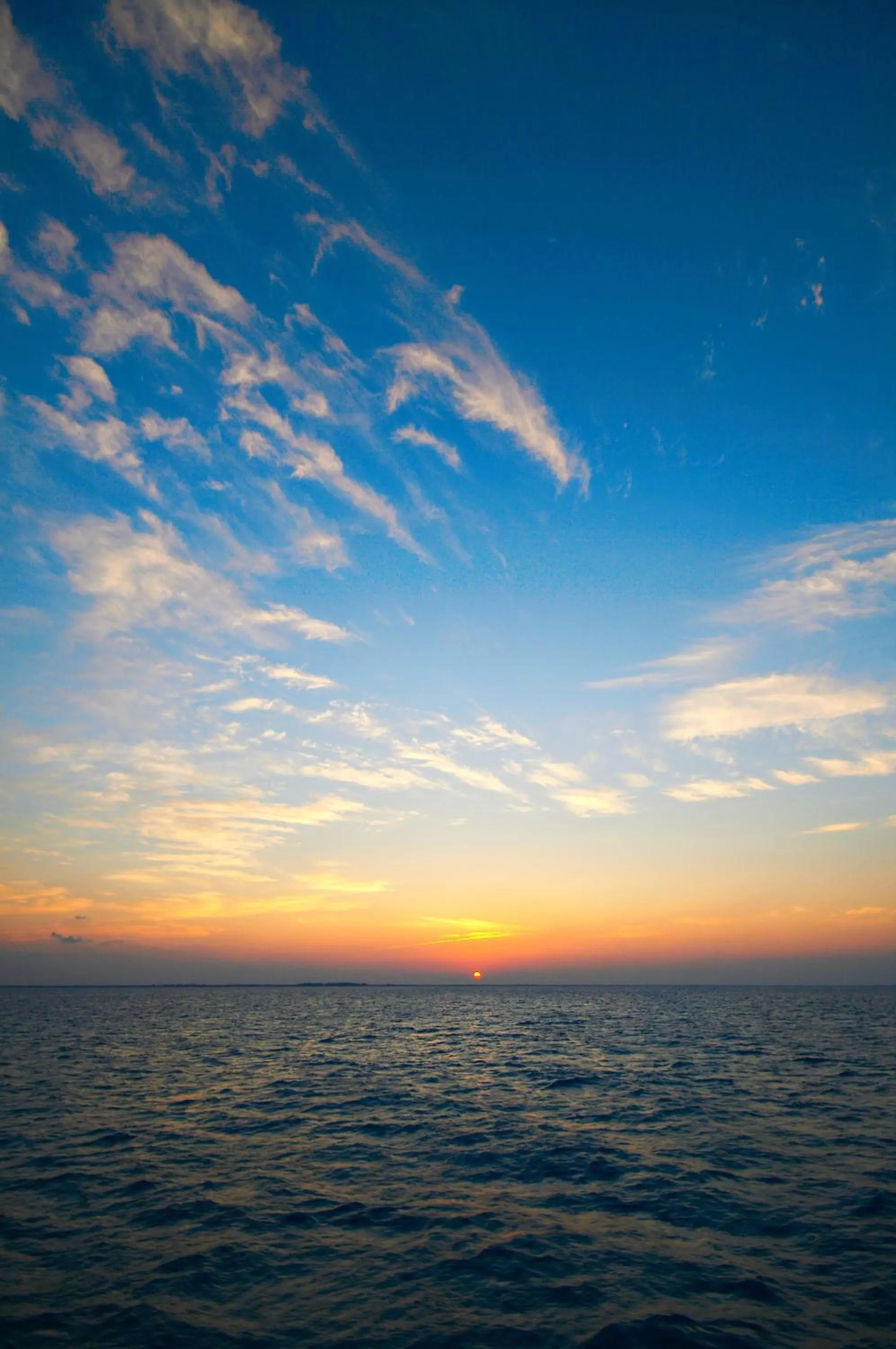 Natural landscape in Hotel Belmar