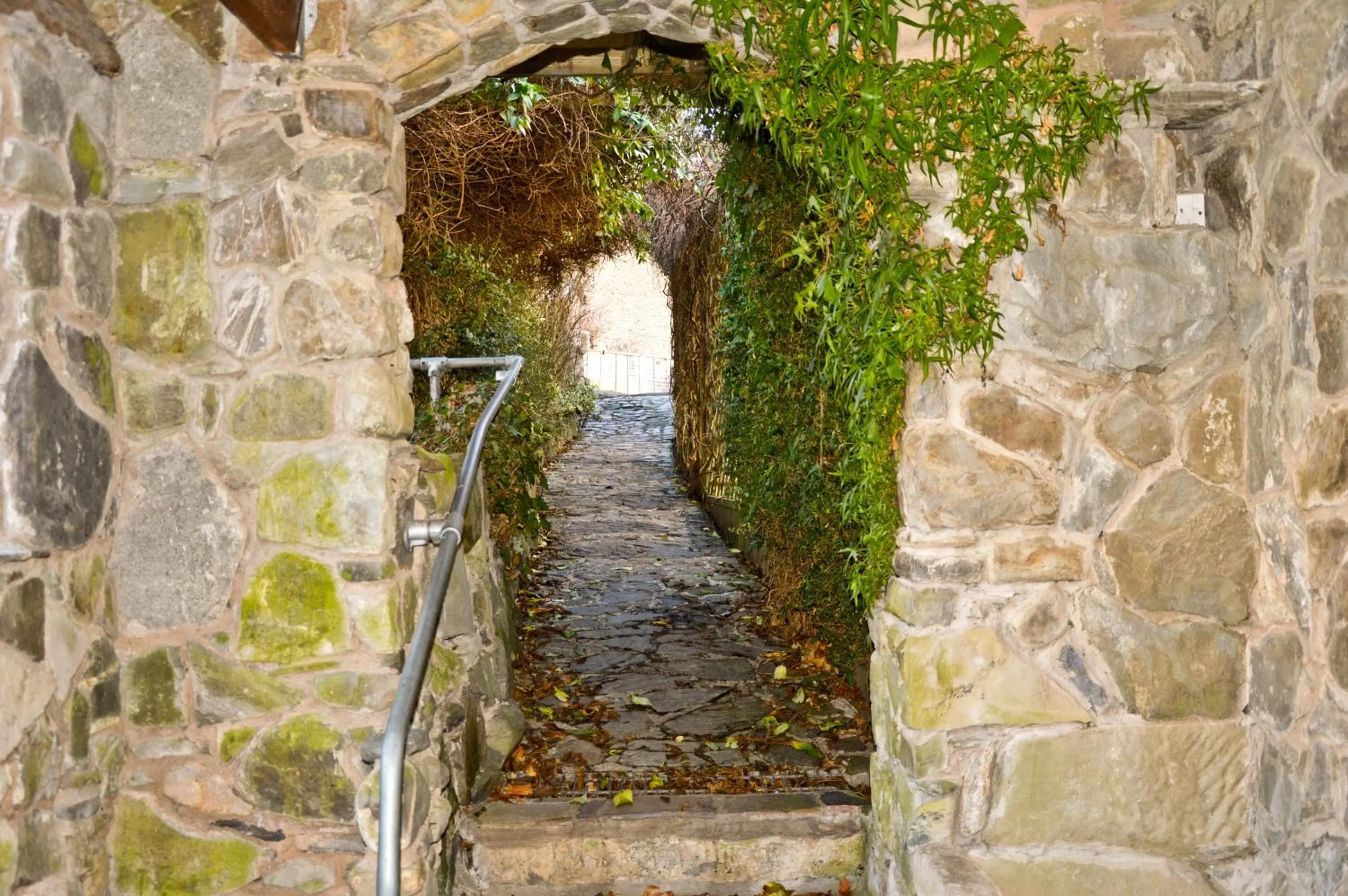 Property building in The Owls