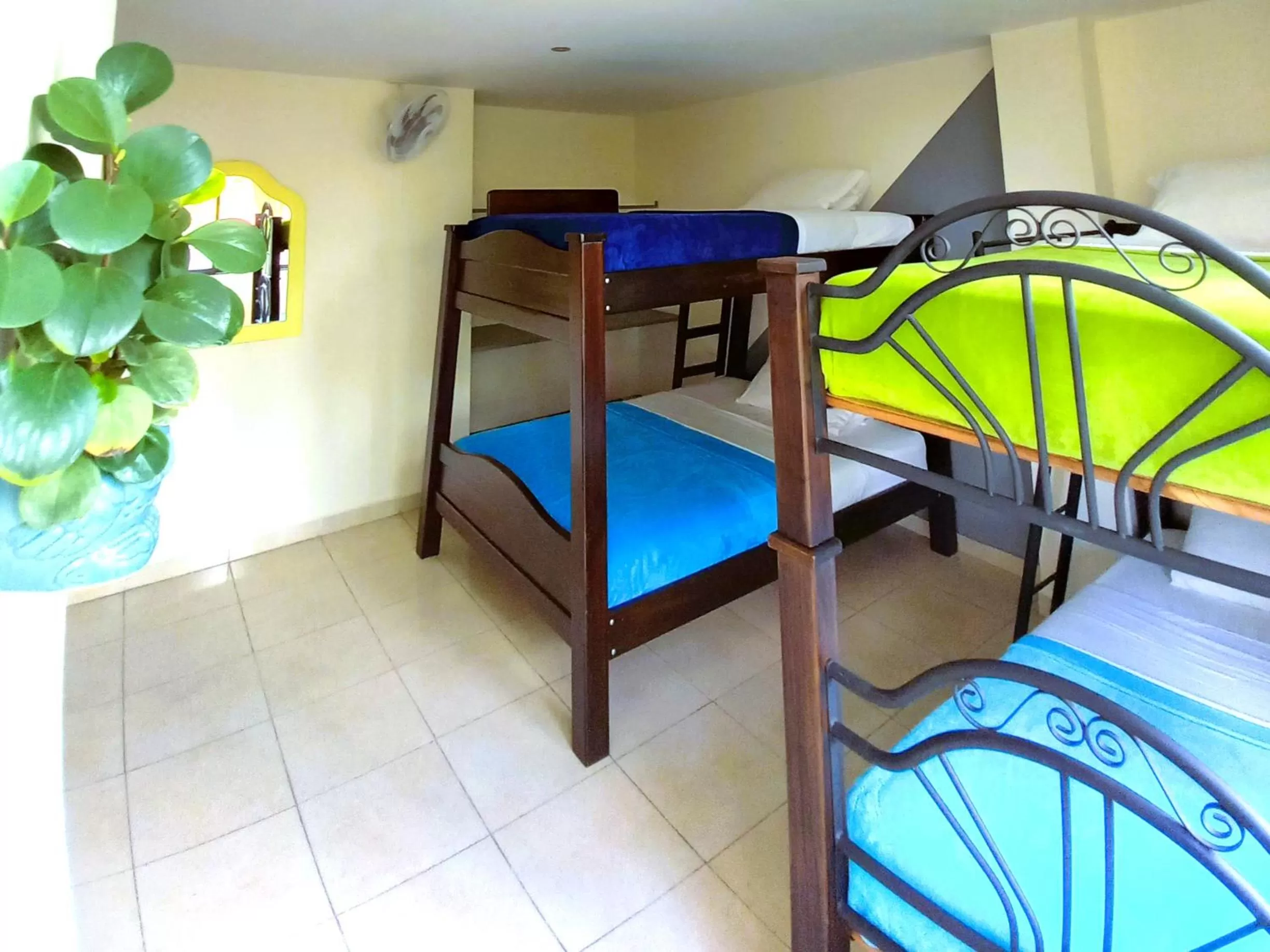bunk bed, Bed in Casa Azul Boutique Hostel