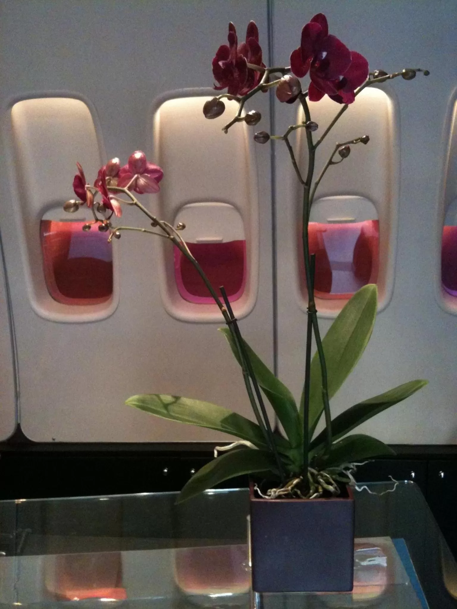 Decorative detail in Windsor Opera