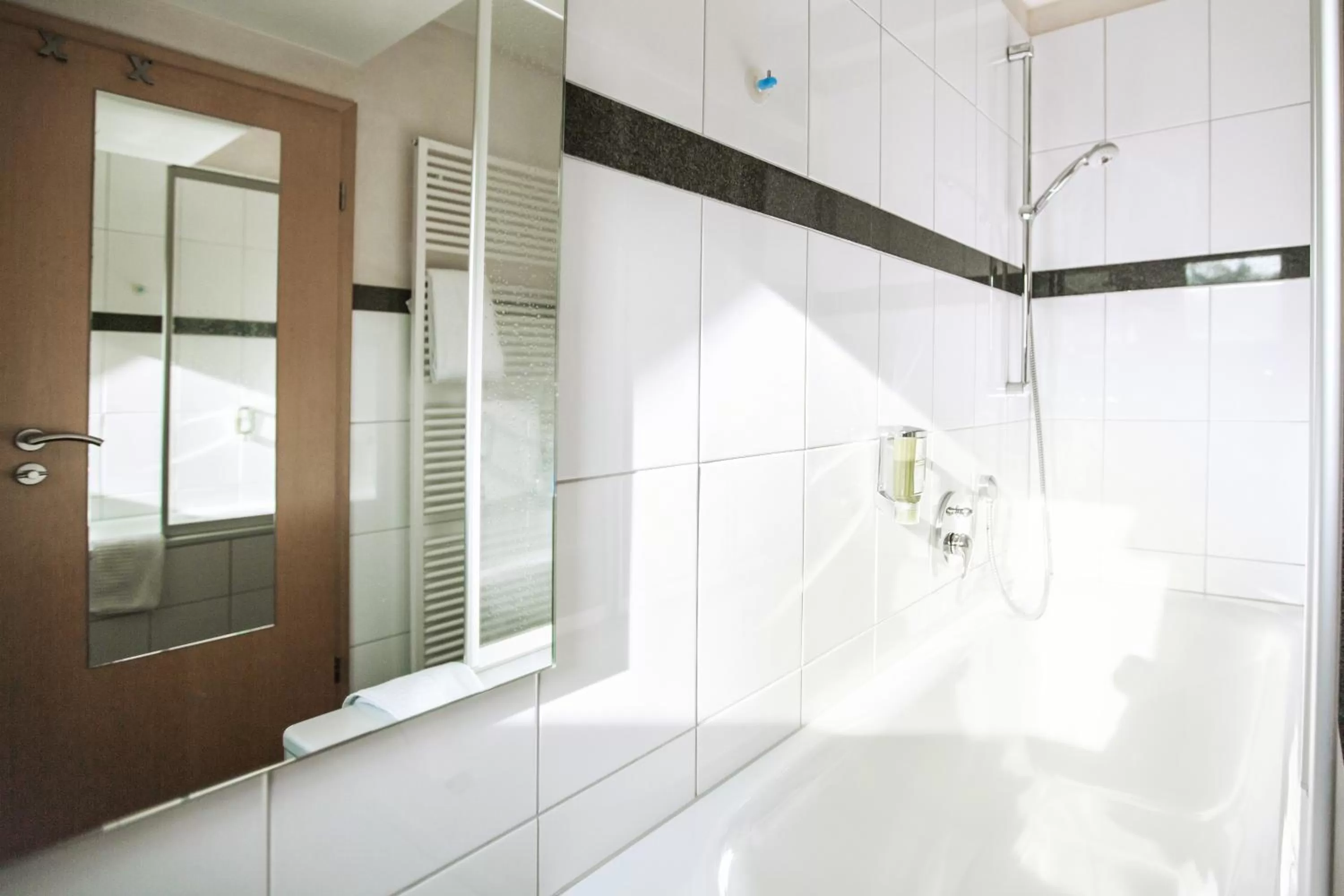 Shower in Hotel SONATA