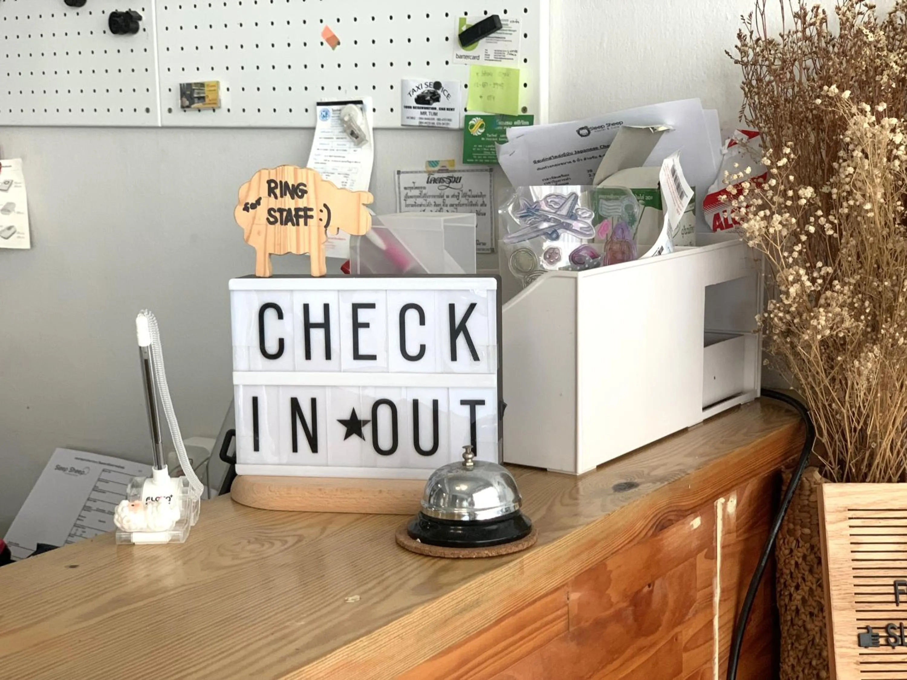 Lobby or reception in Sleep Sheep Phuket Hostel SHA