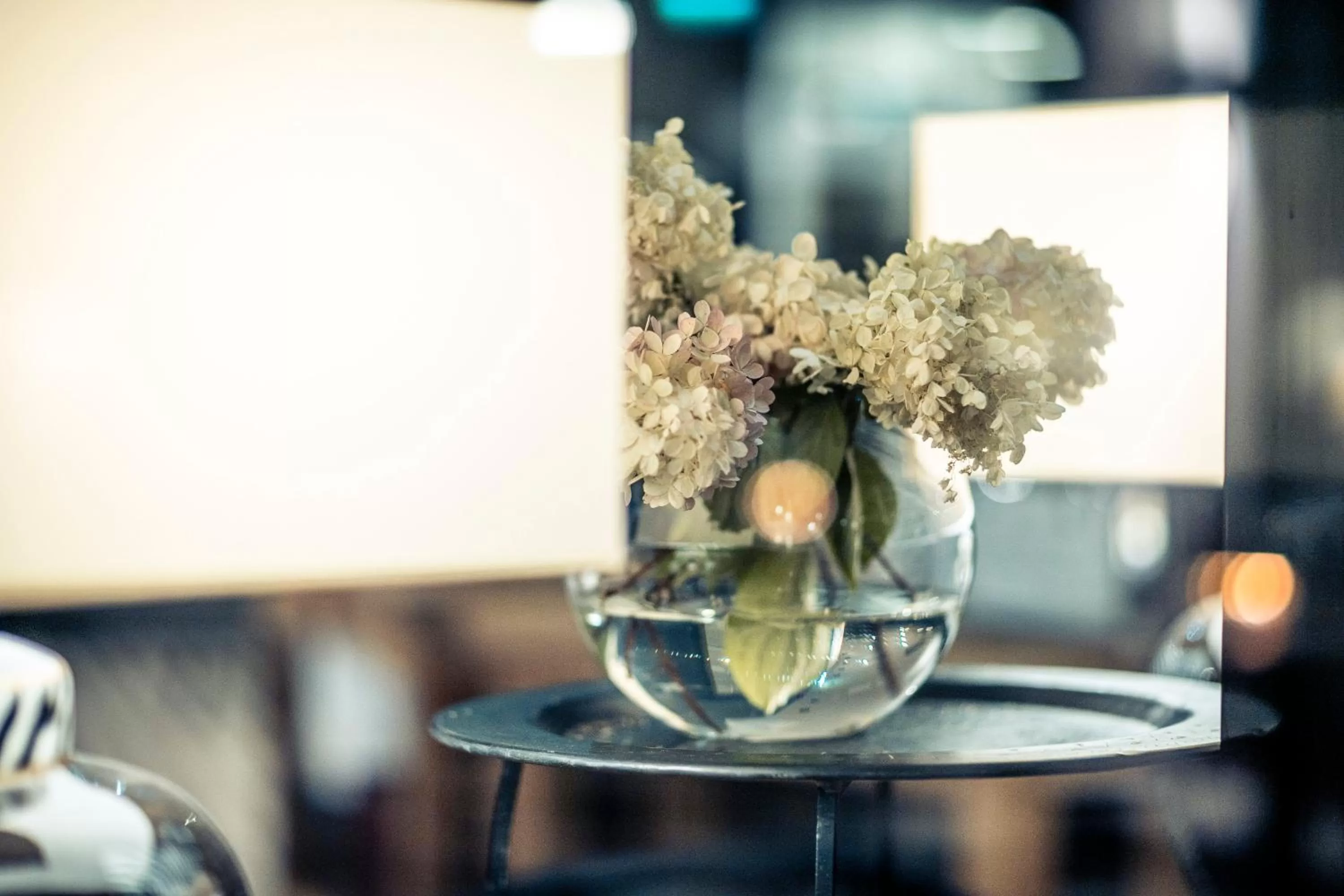 Lobby or reception in Hotel F6