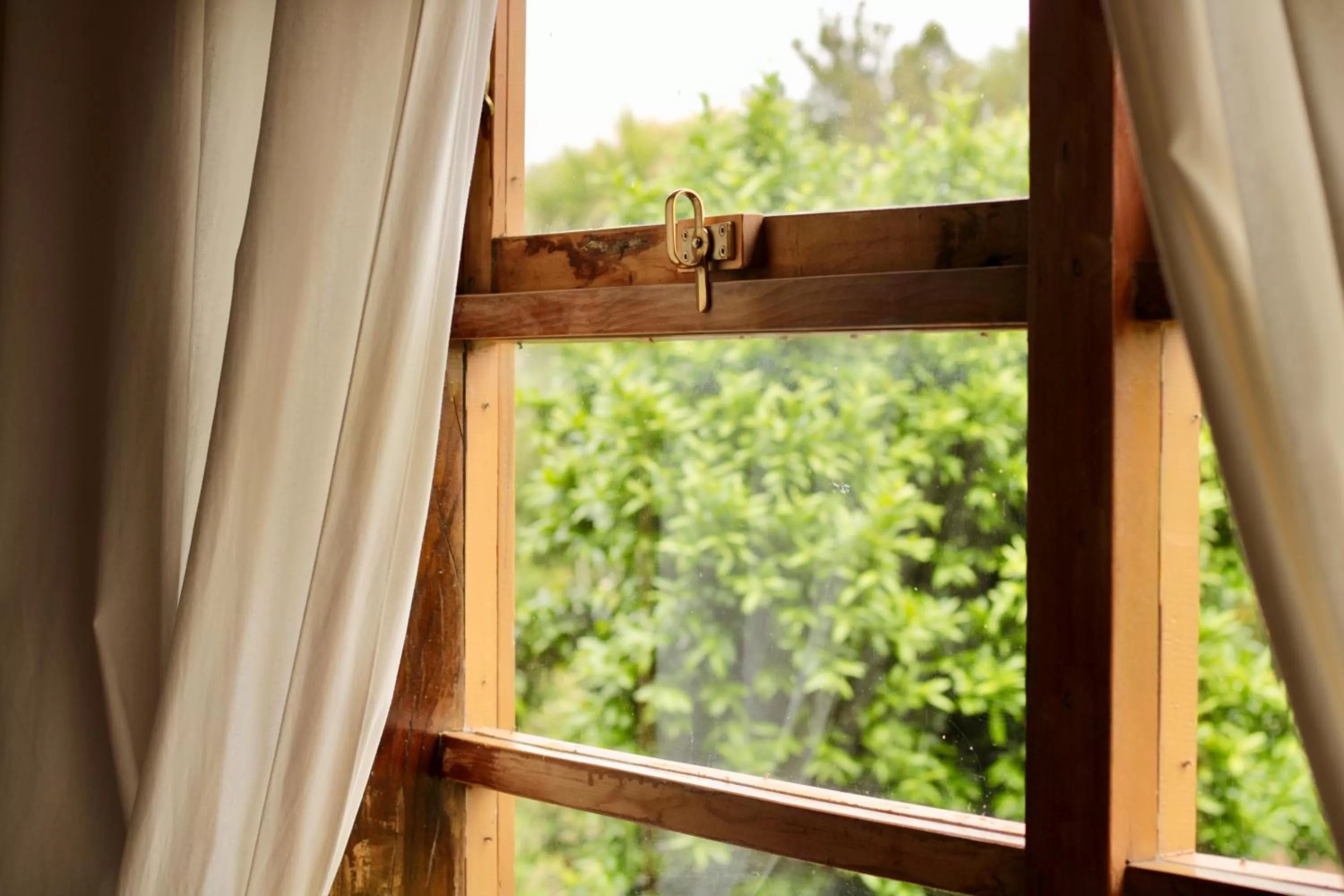 Garden in Hotel Boutique Casa Werner