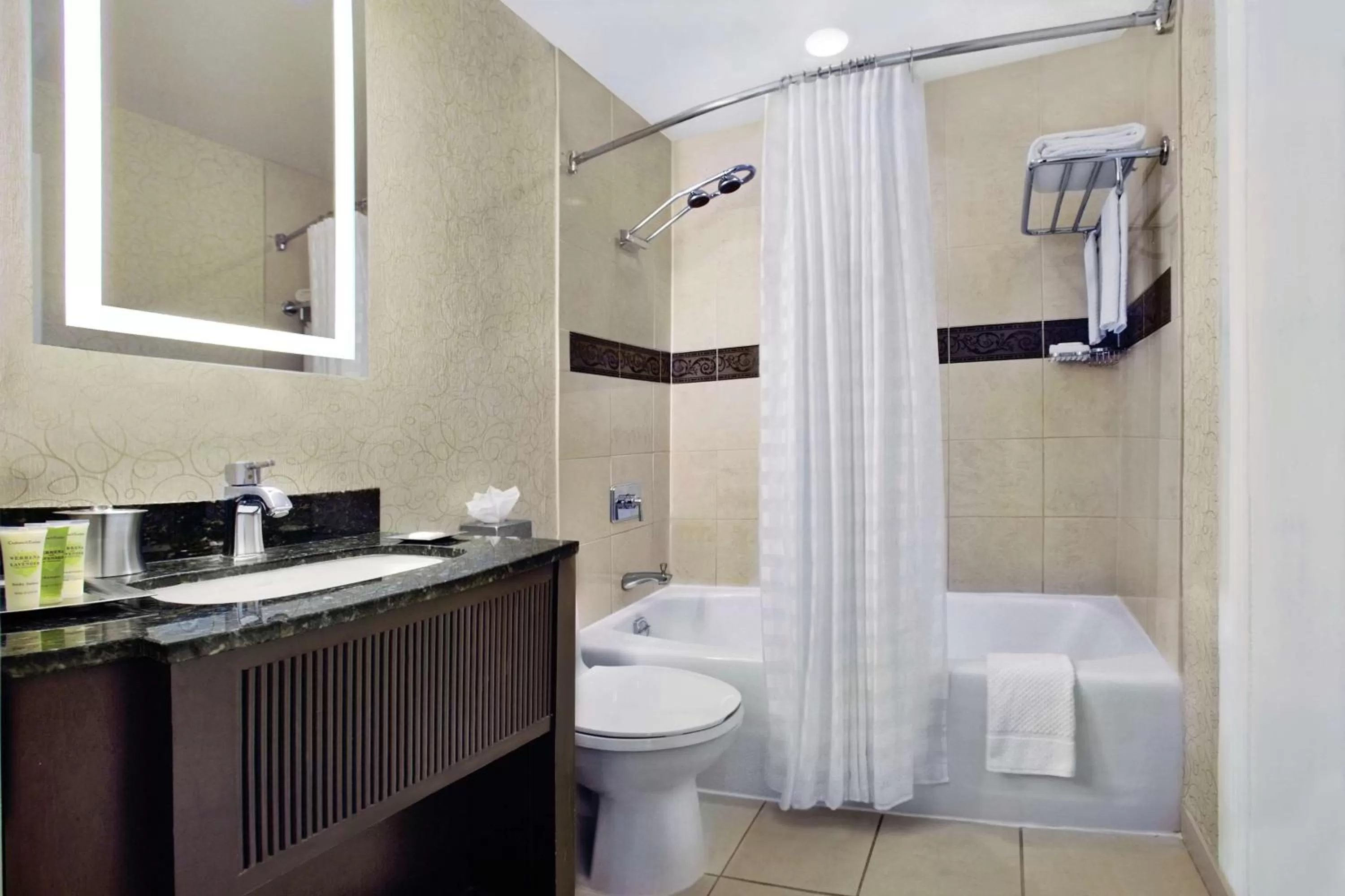 Bathroom in The Palmer House Hilton