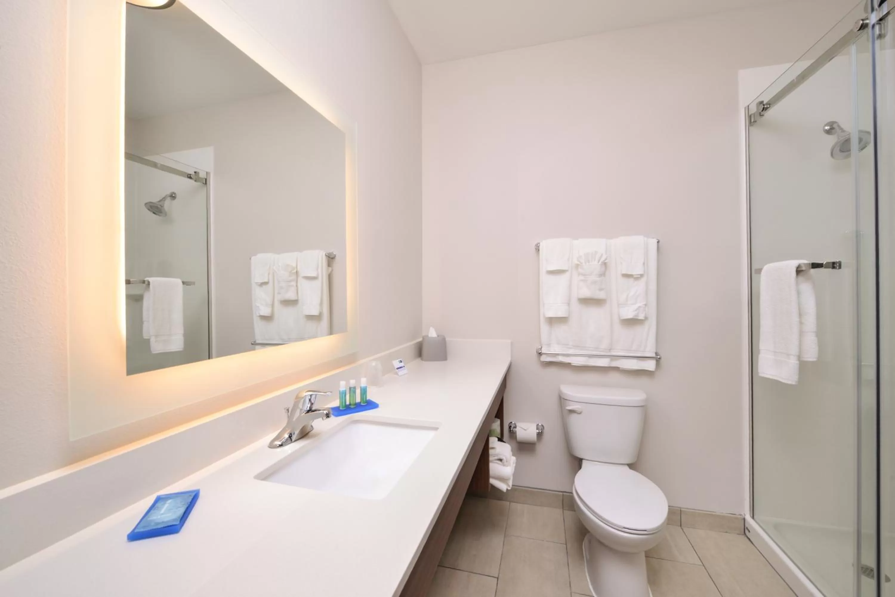Bathroom in Holiday Inn Express Donaldsonville by IHG