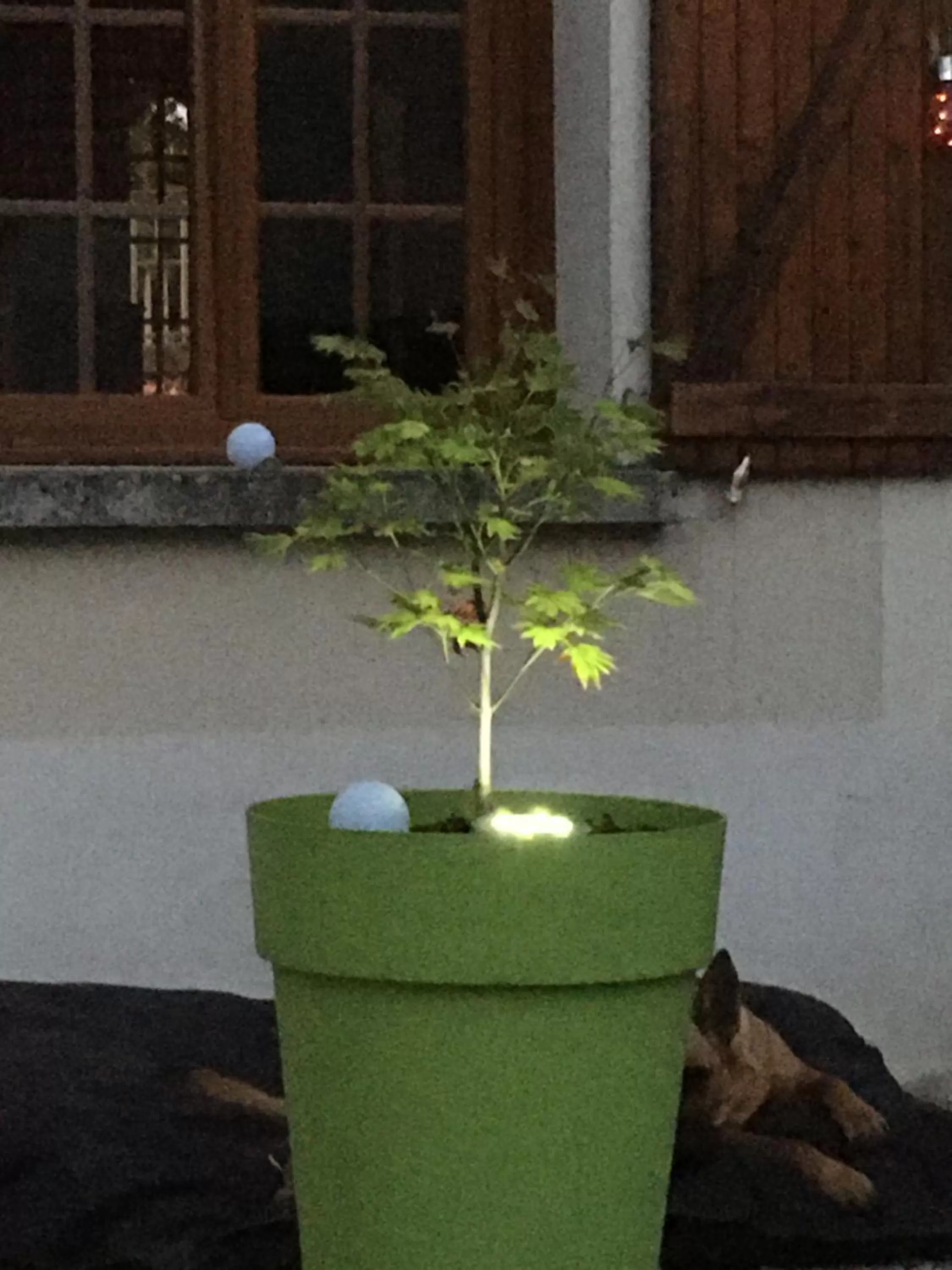 Patio in L auberge du lion d or