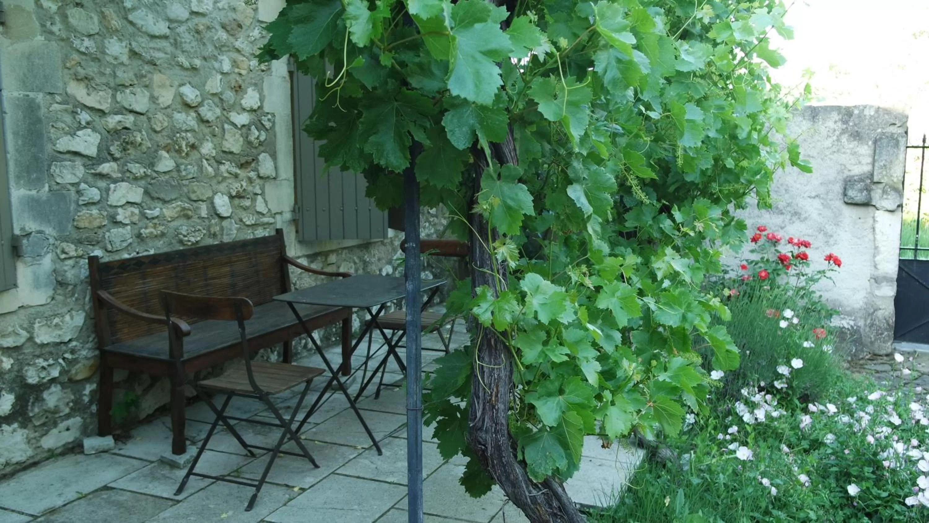 Patio in Mas Grimaud - Gîte- Studio et chambres d'hôtes familiales