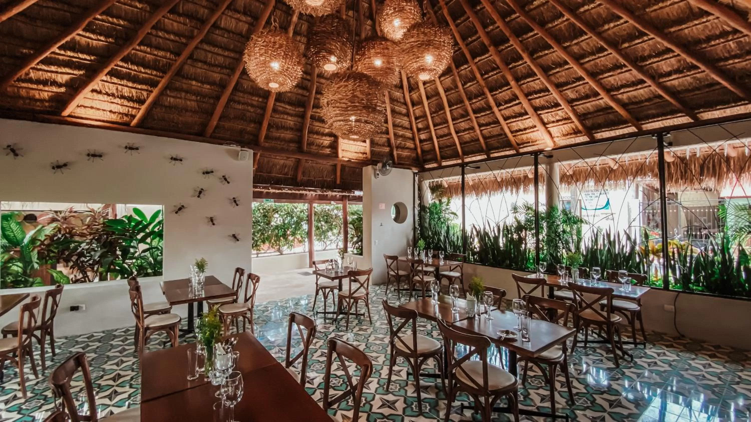 Restaurant/places to eat in Blue Palm Bacalar