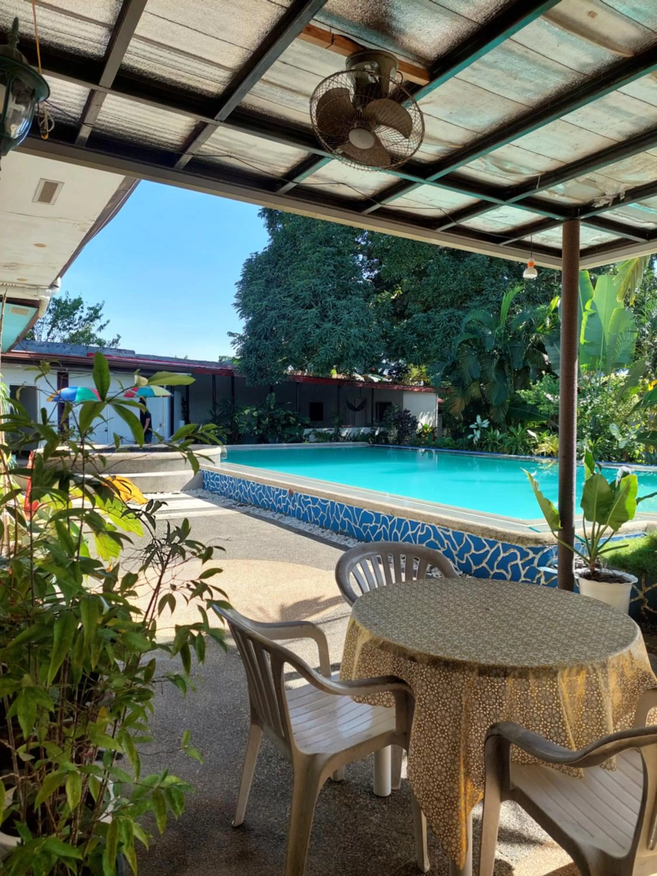 Ice Bear Bar & Tourist Inn