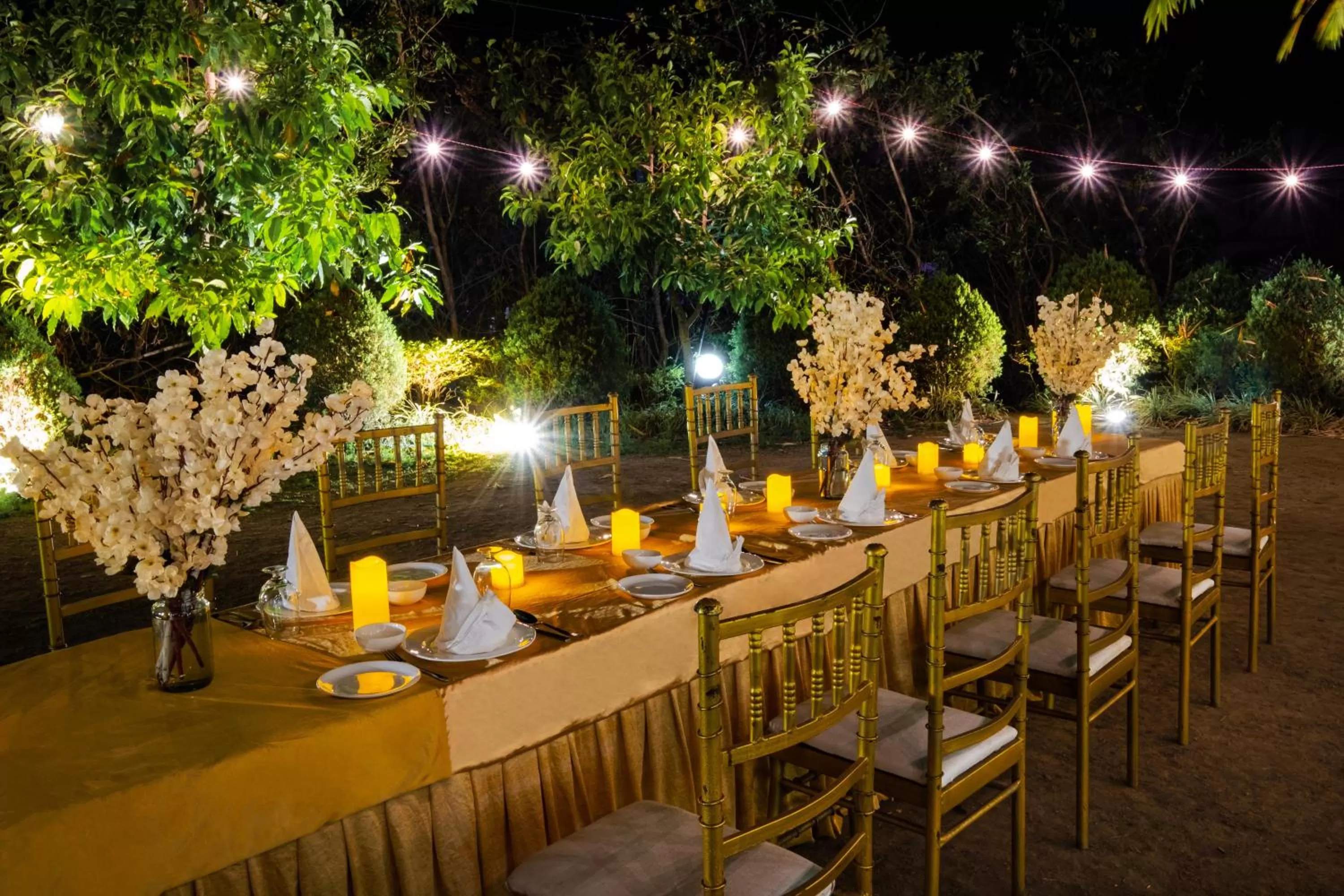 Food and drinks in Country Inn Nature Resort Bhimtal