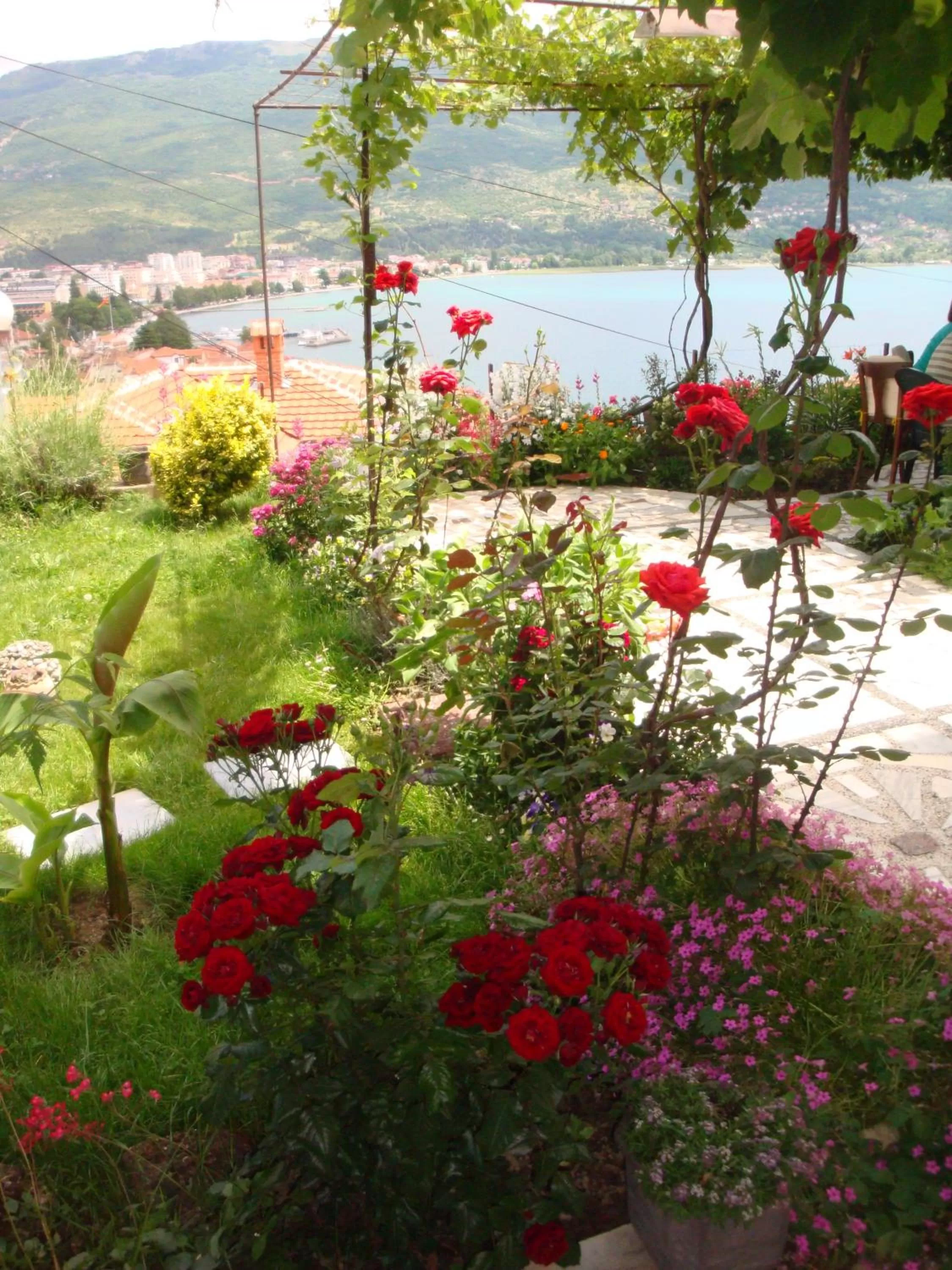 Garden in Apartments Villa Saray