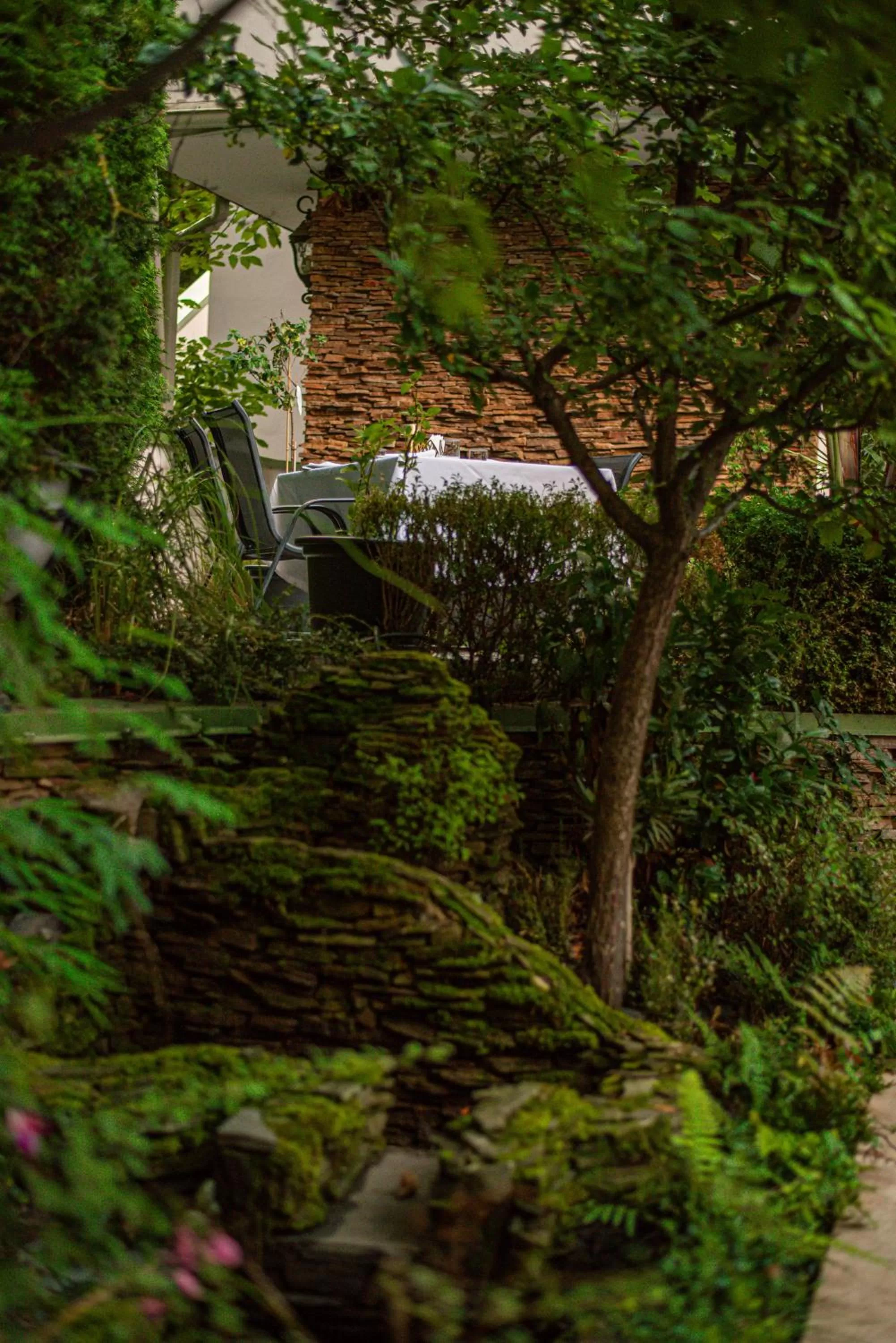 Garden in Hotel Carpathia