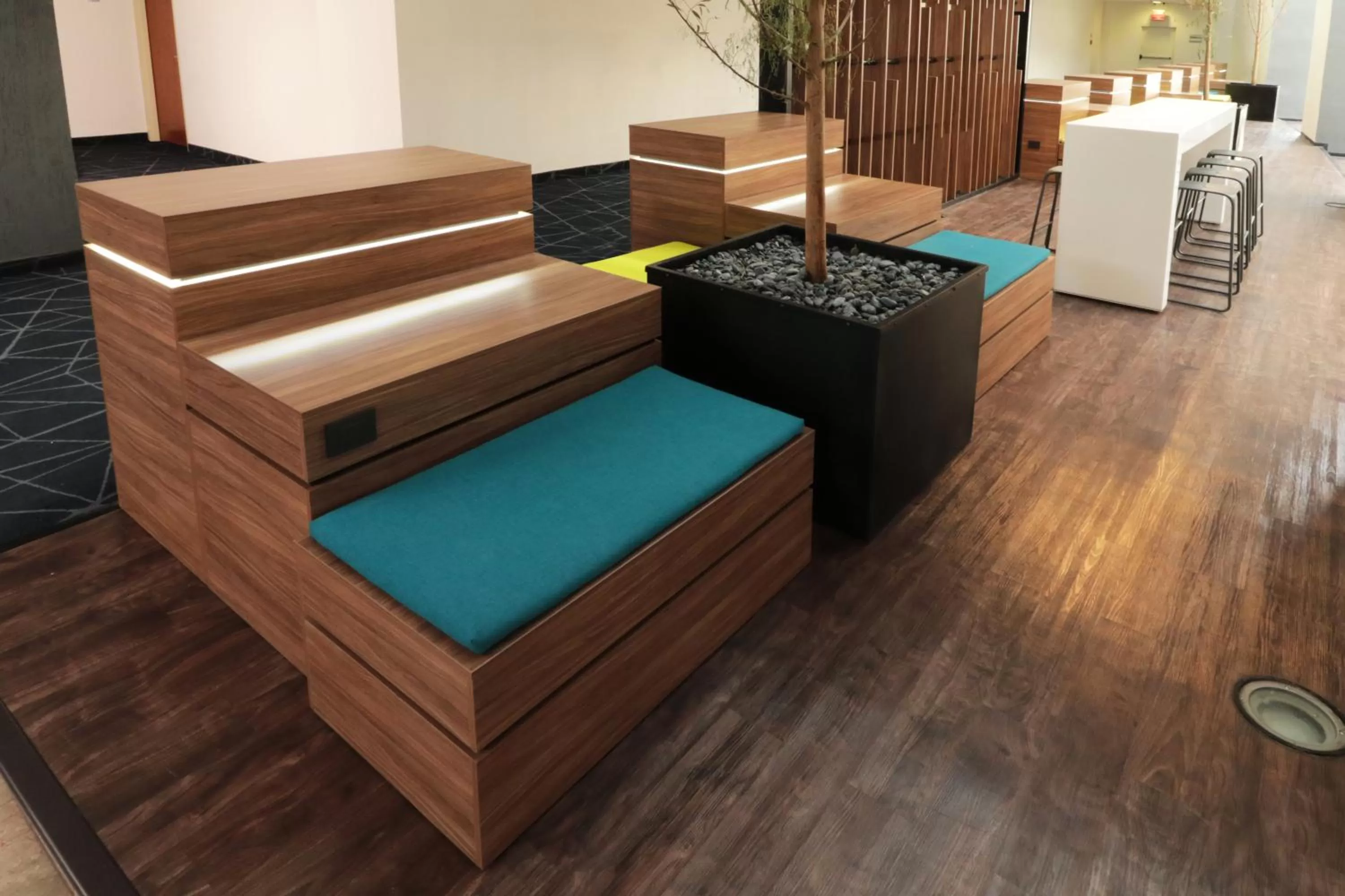 Other in Holiday Inn Express San Luis Potosí by IHG