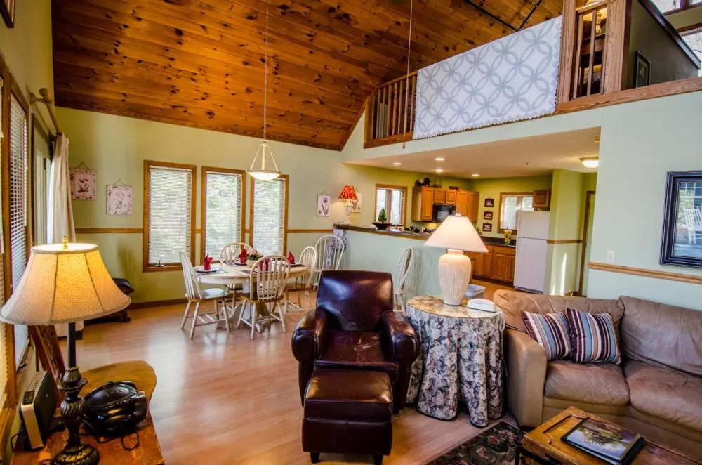 Living room, Seating Area in Asheville Cabins of Willow Winds