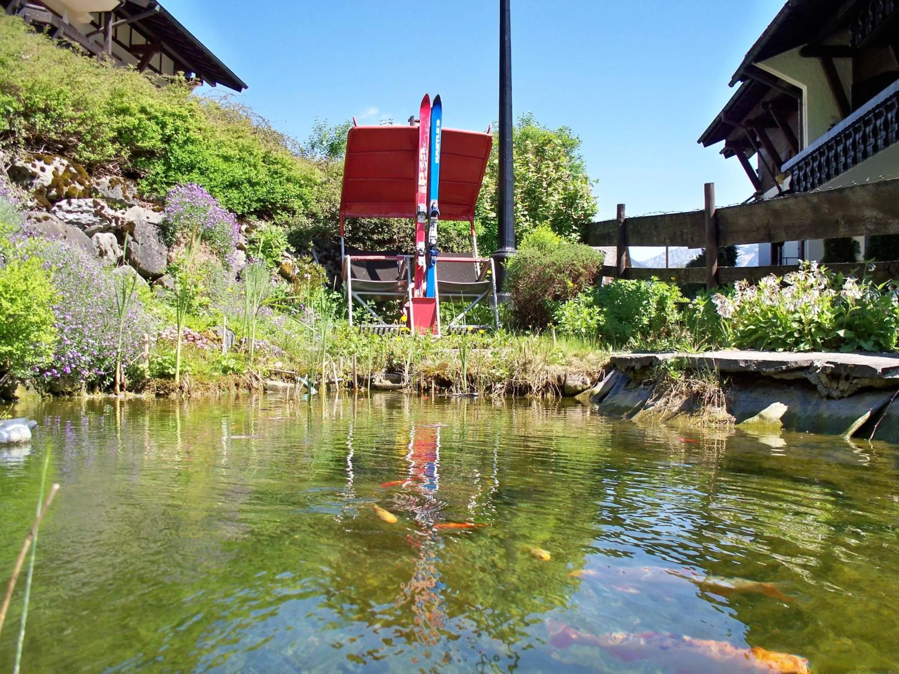 Area and facilities in Hotel Bergruh