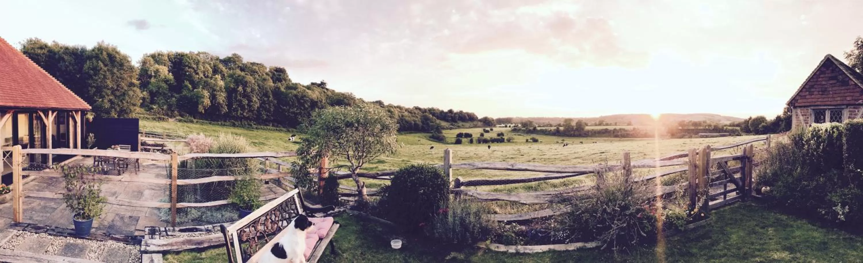 Bird's eye view in The Cow Hide