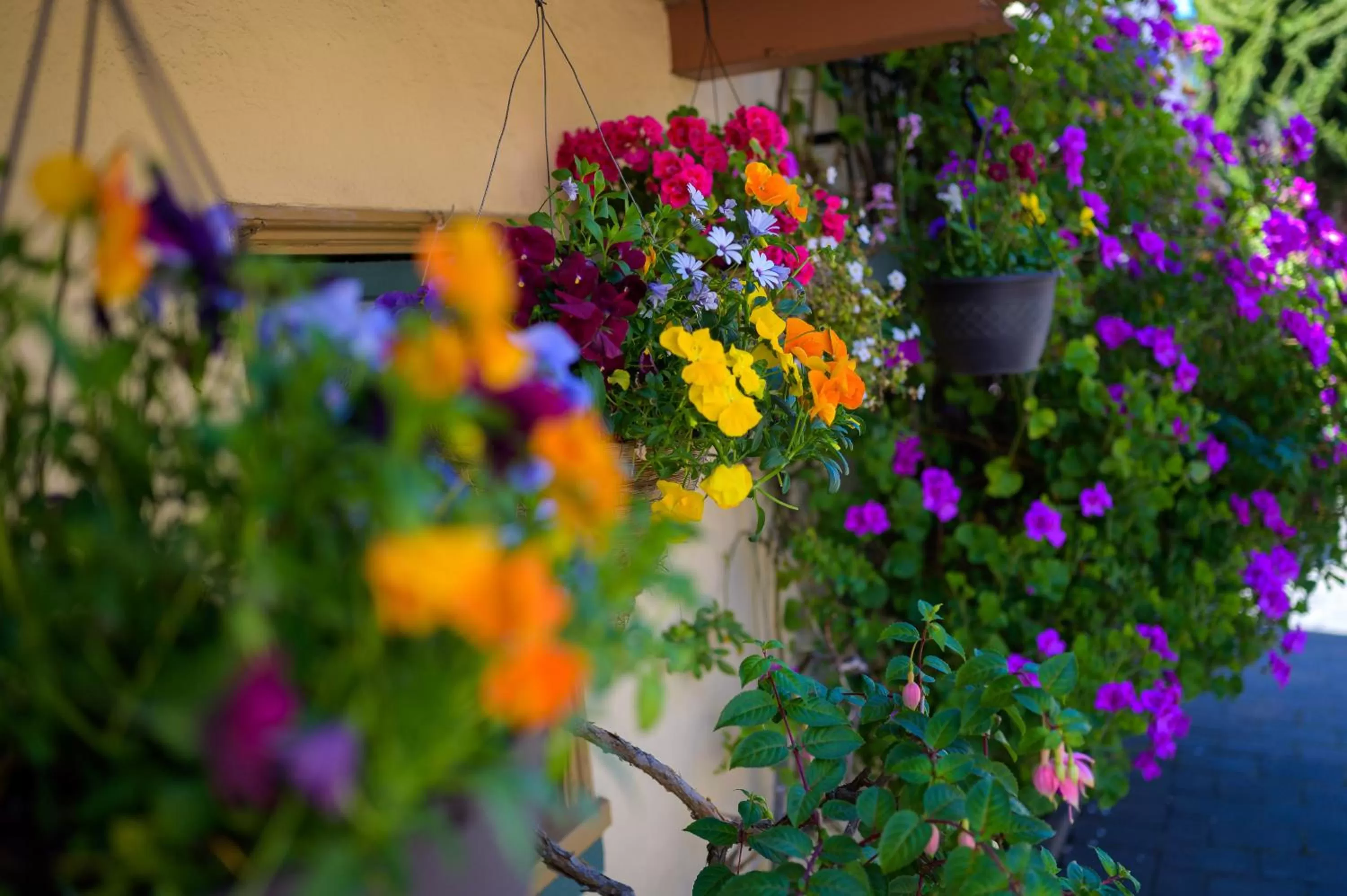 Facade/entrance in Marina Motel