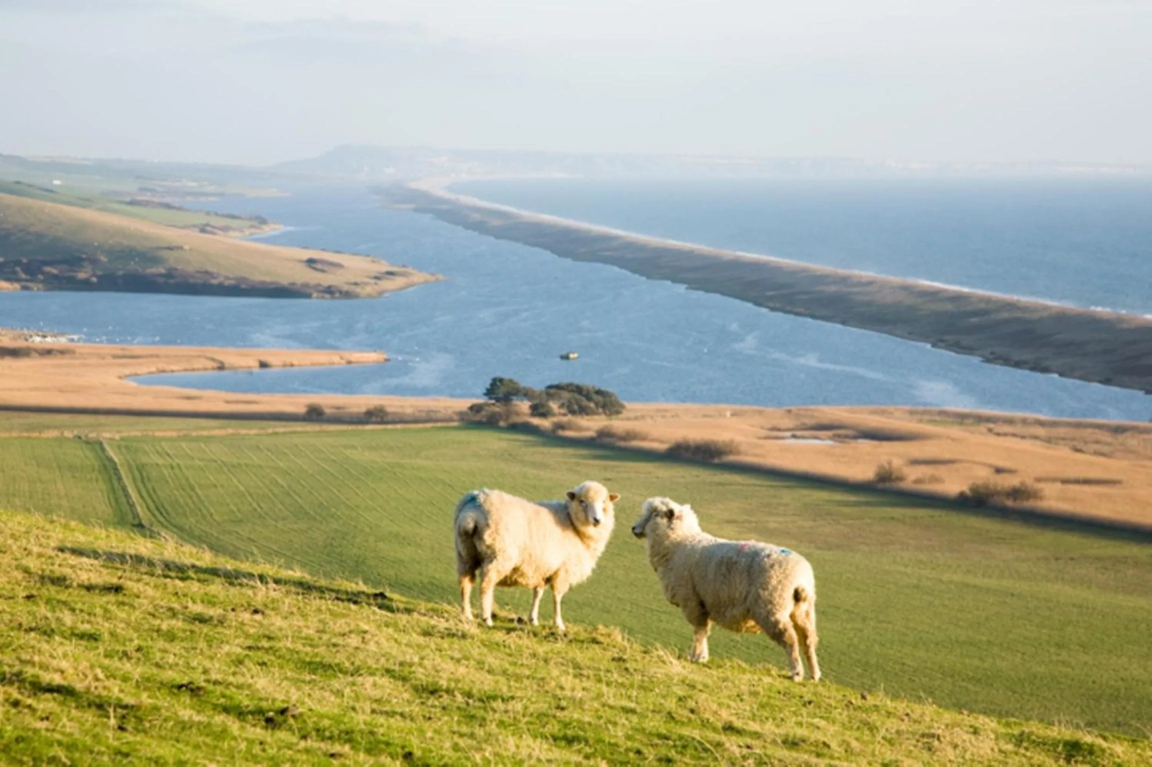 Area and facilities in New Inn - Dorchester