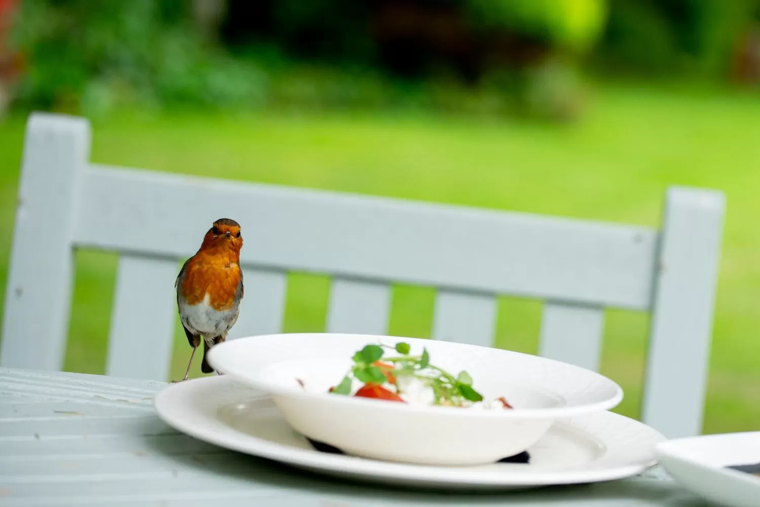 Food in The Grange at Oborne